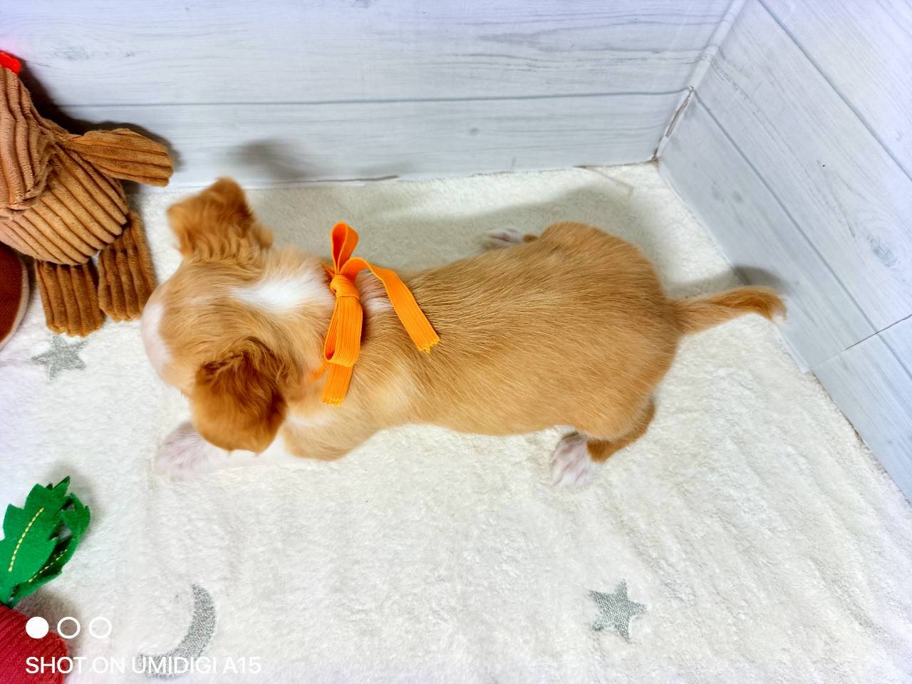 赤ちゃん写真3-3