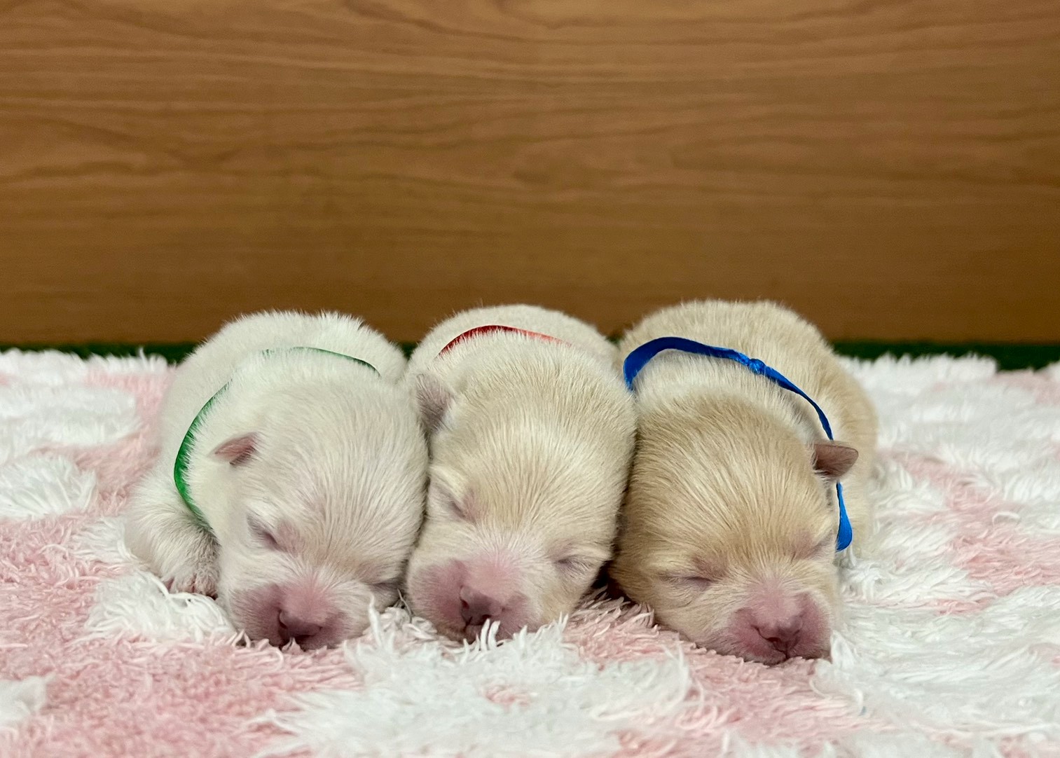 赤ちゃん写真1-3