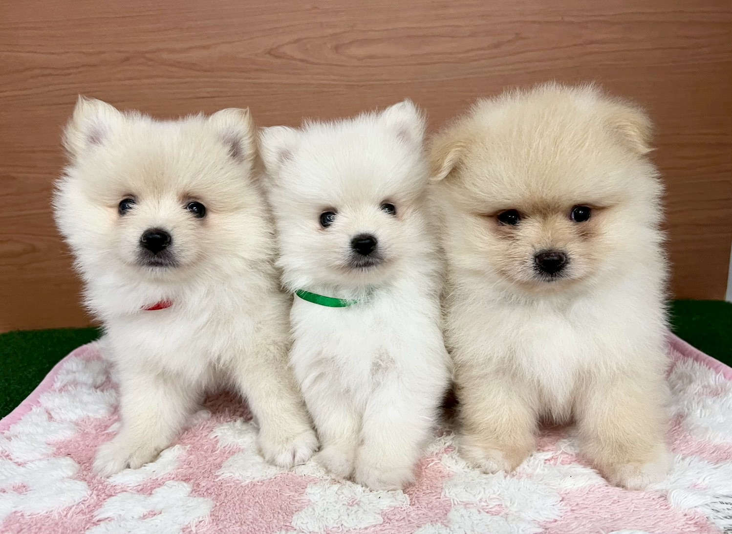 赤ちゃん写真3-3