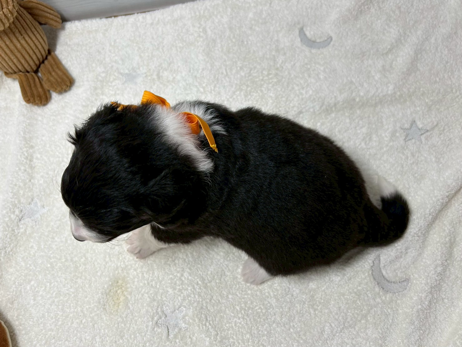 赤ちゃん写真2-3