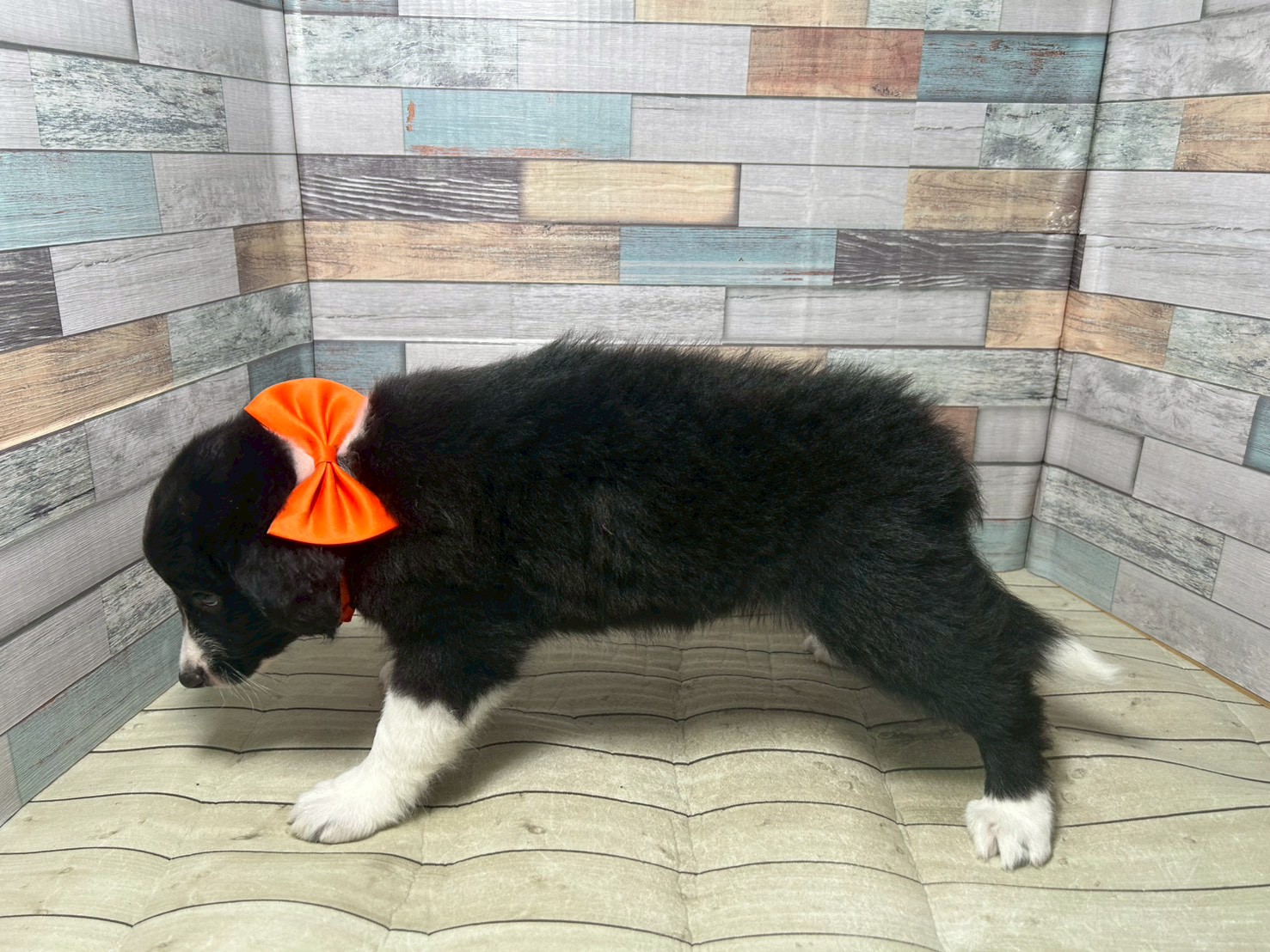 赤ちゃん写真3-2