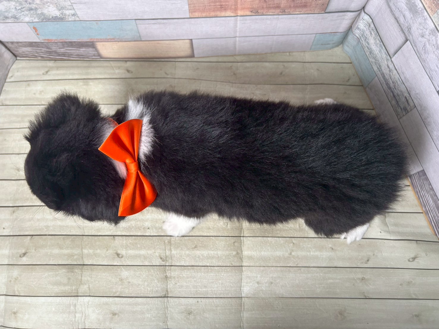 赤ちゃん写真3-3