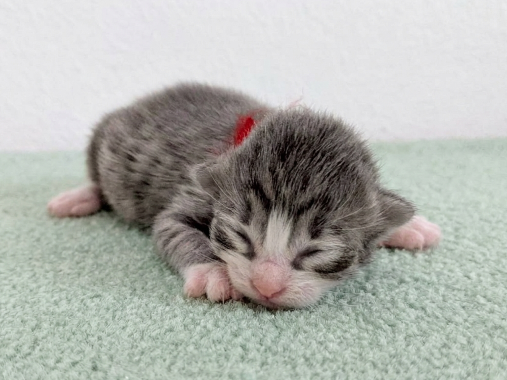 赤ちゃん写真1-1