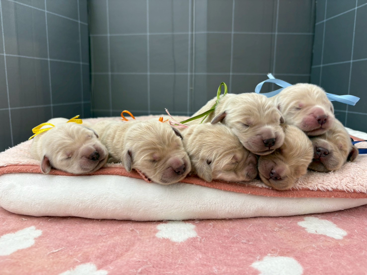 赤ちゃん写真1-3