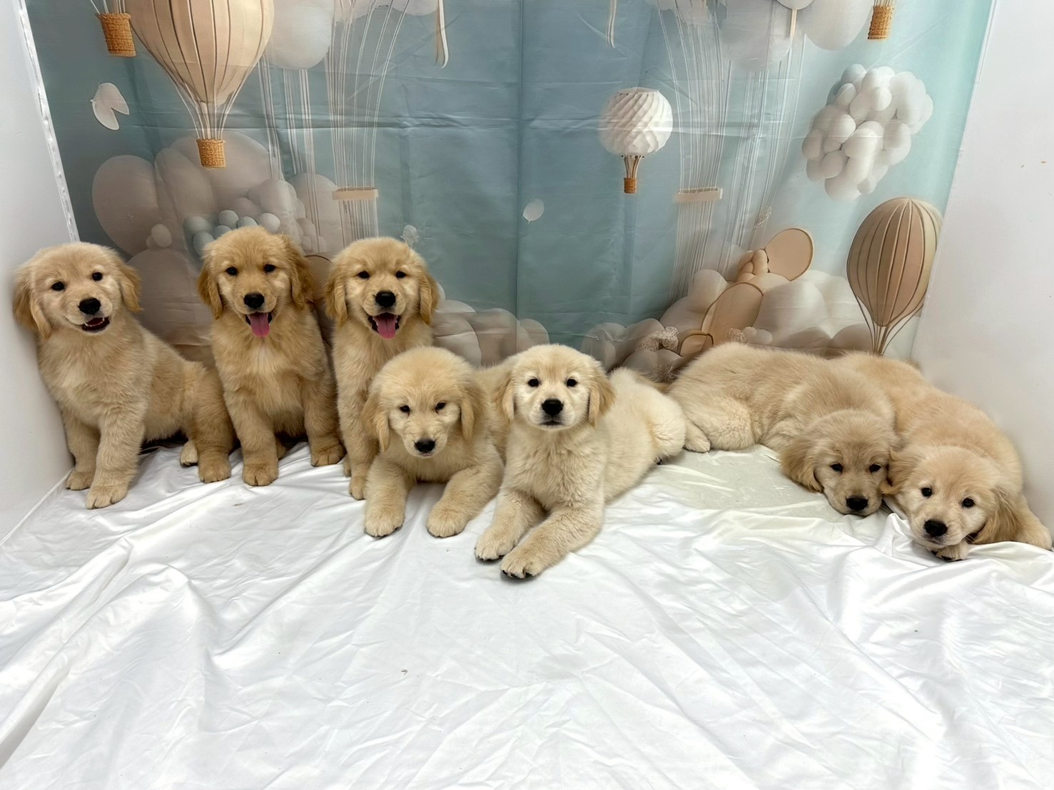 赤ちゃん写真3-3