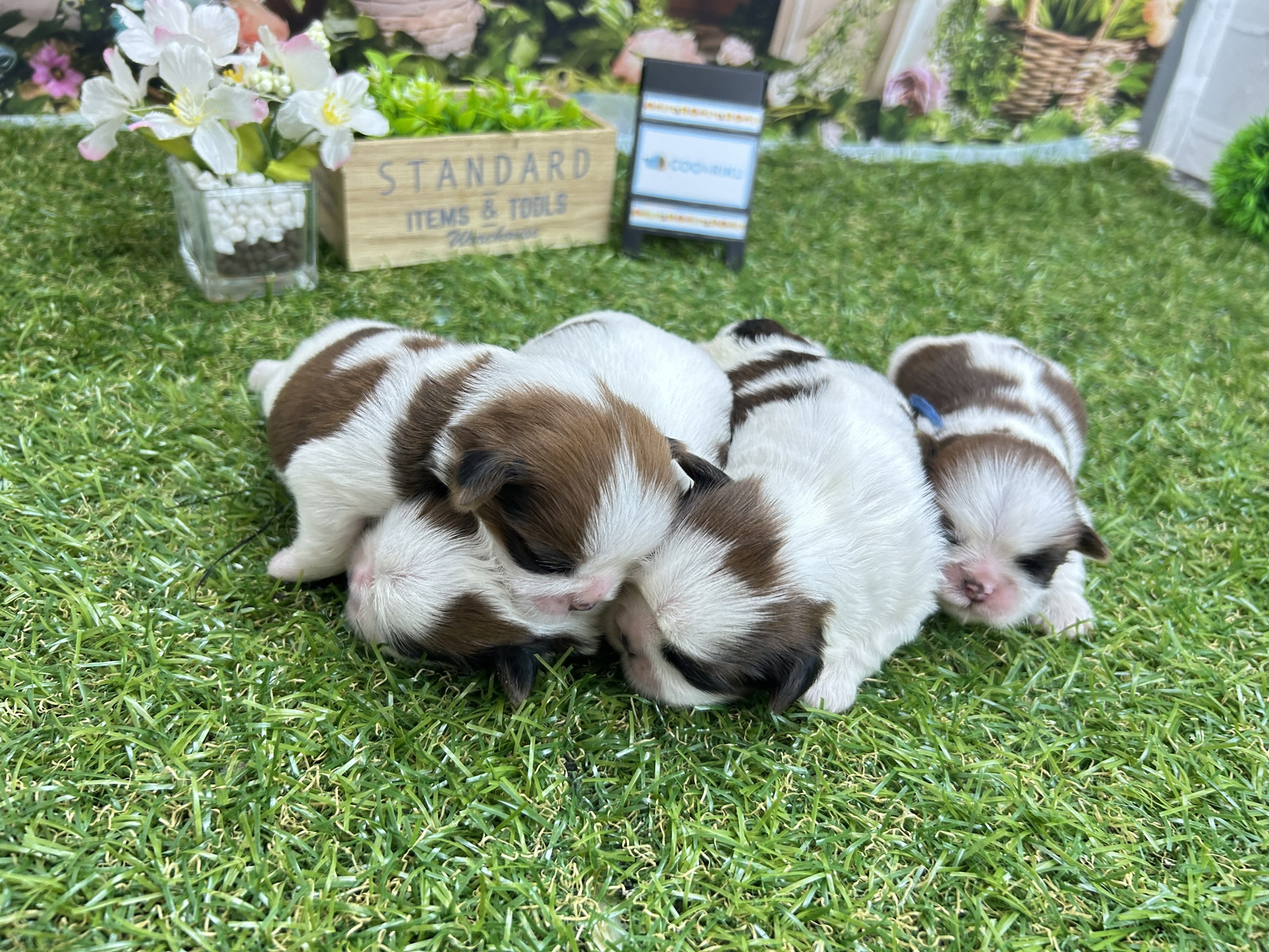 赤ちゃん写真1-3