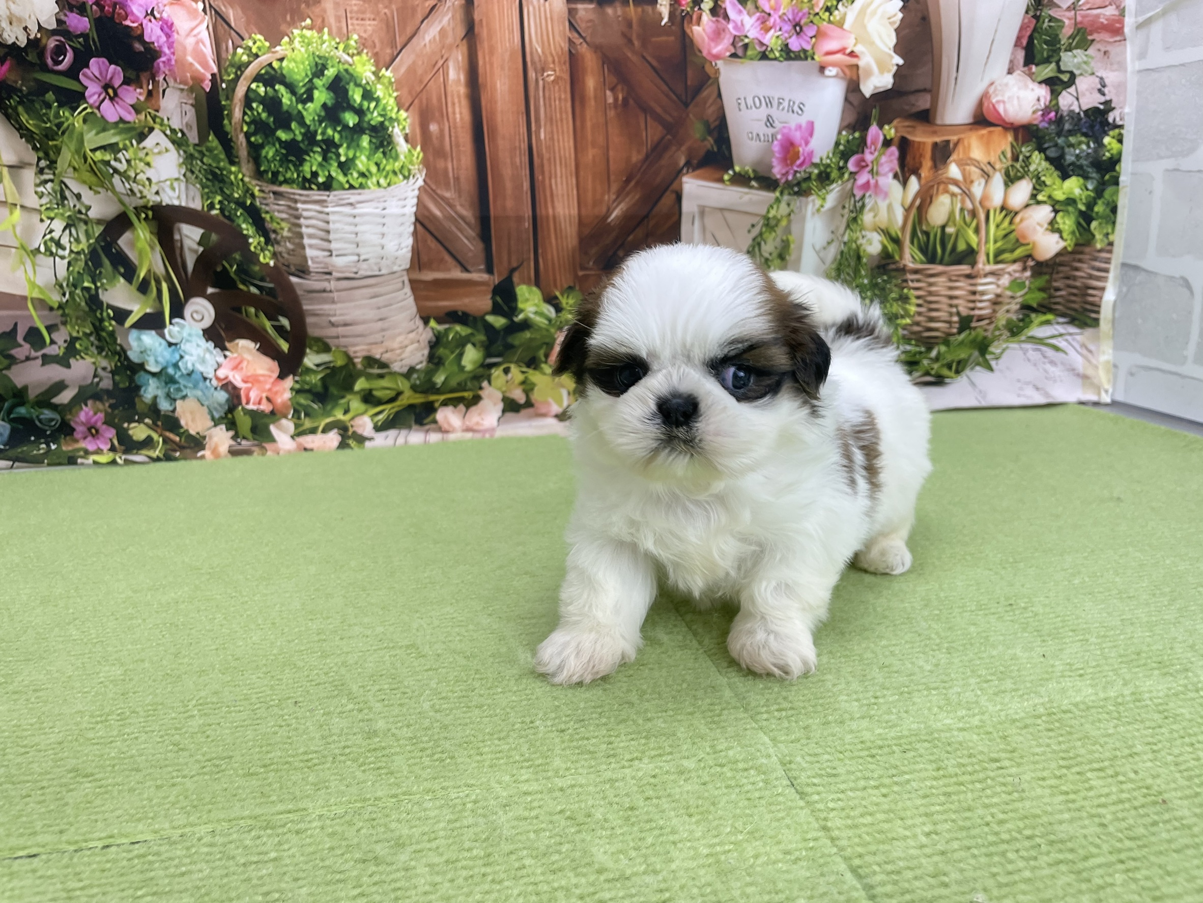 赤ちゃん写真2-1