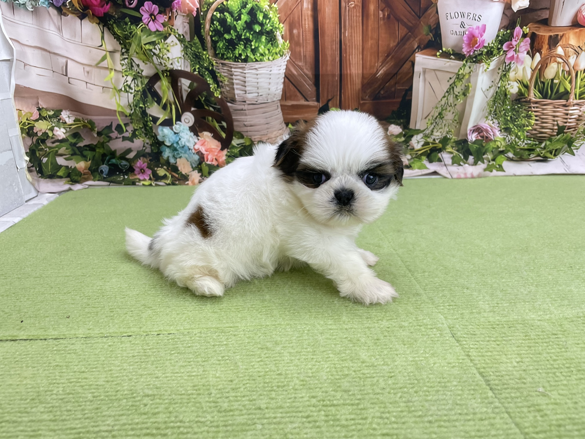 赤ちゃん写真2-2