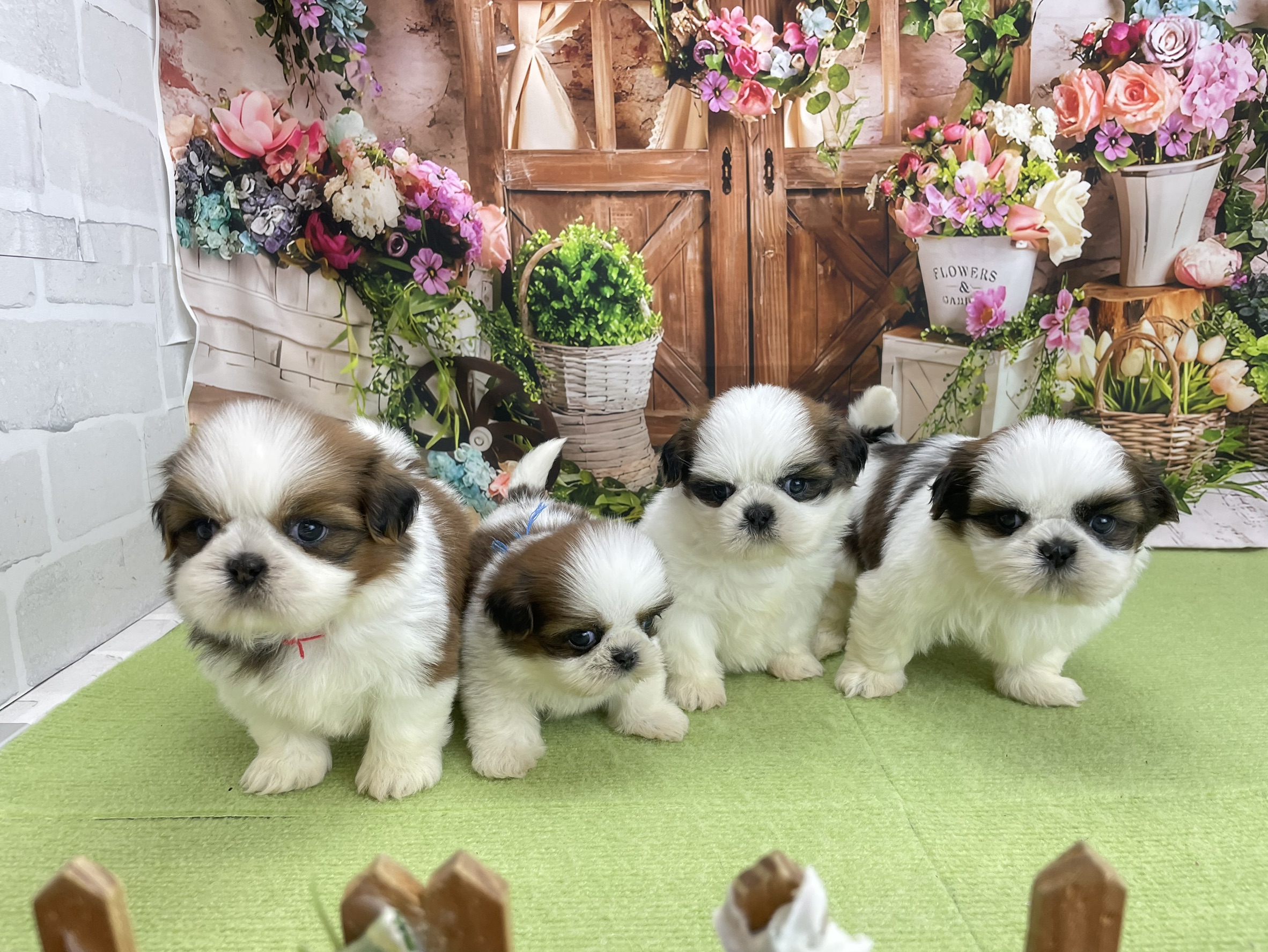 赤ちゃん写真2-3