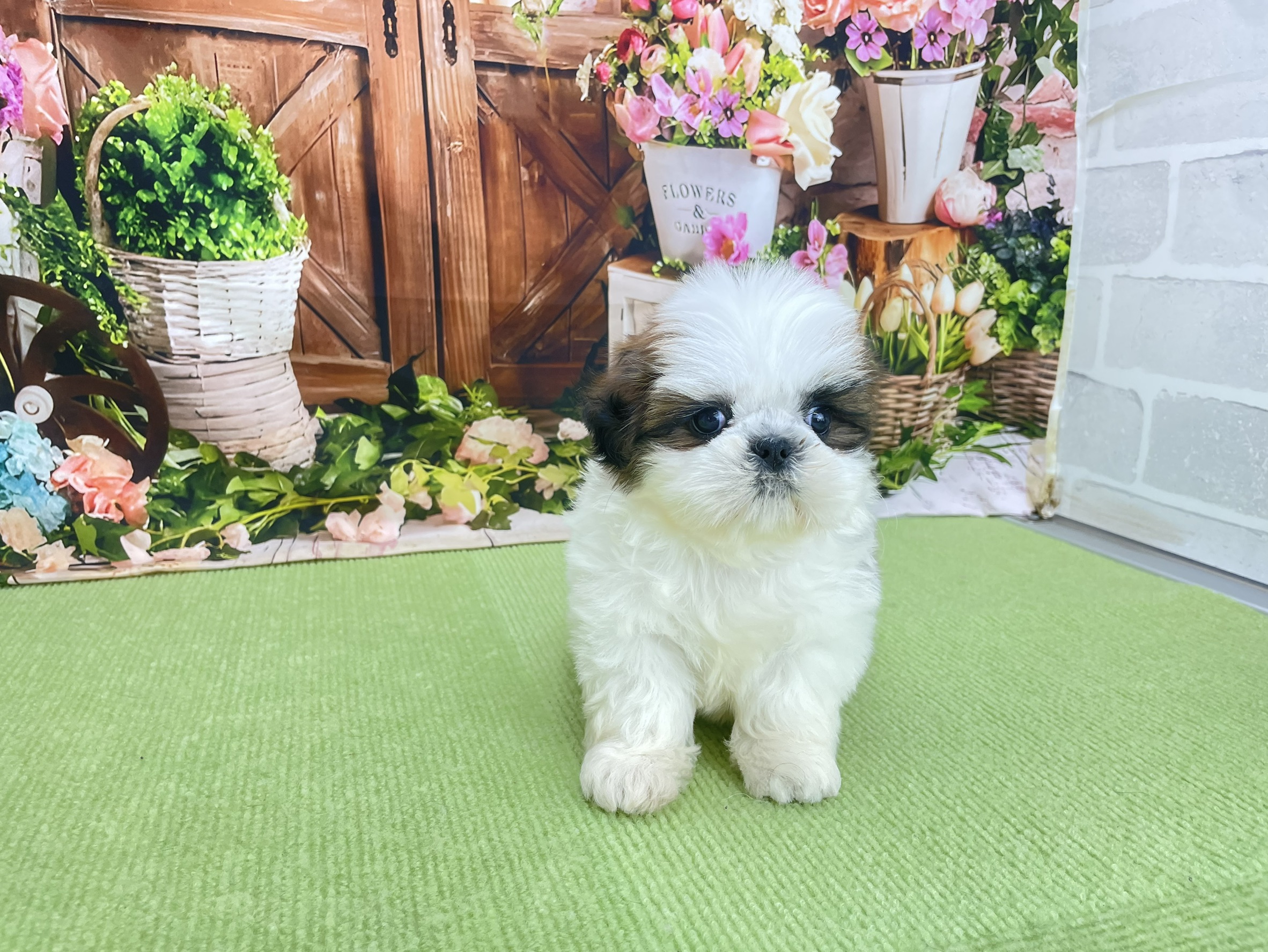 赤ちゃん写真3-1