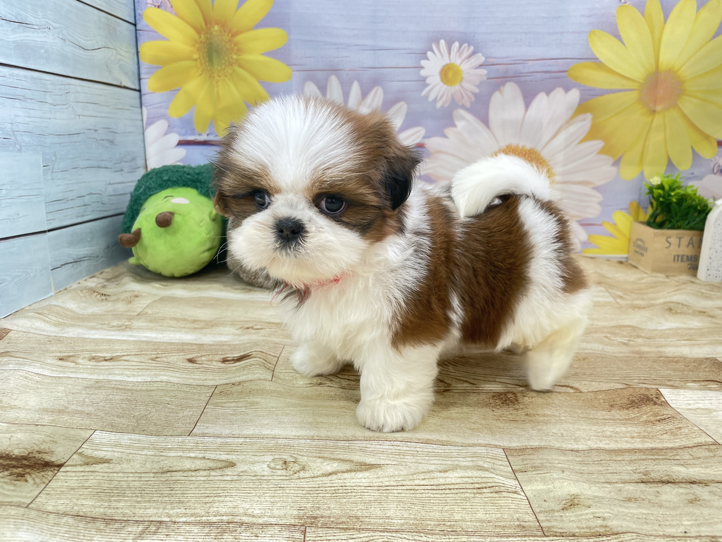 赤ちゃん写真3-2