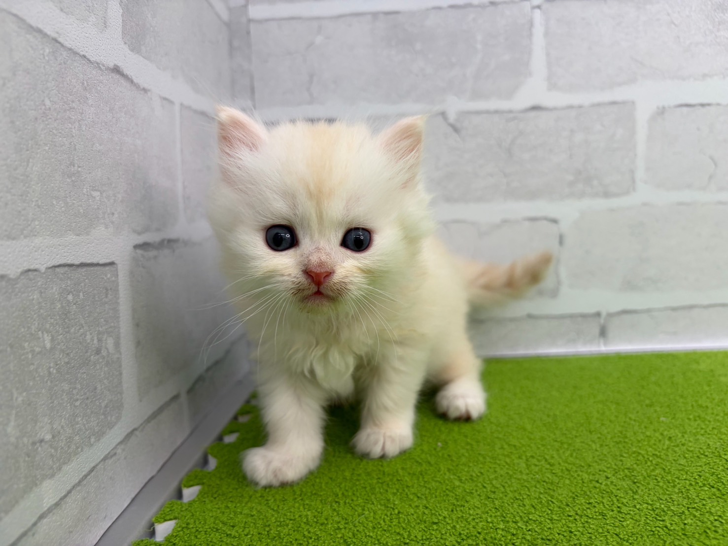 赤ちゃん写真2-1