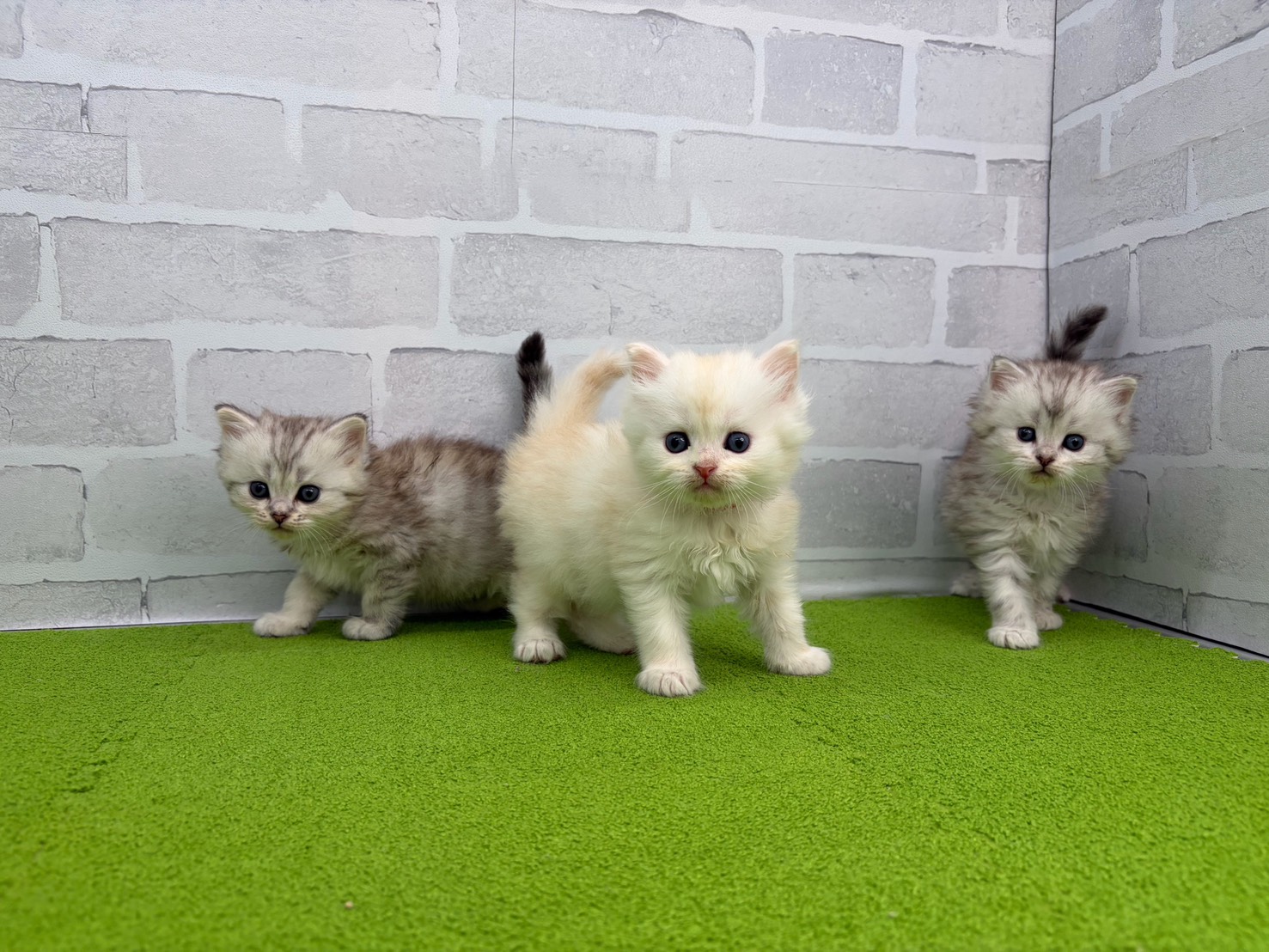 赤ちゃん写真2-3