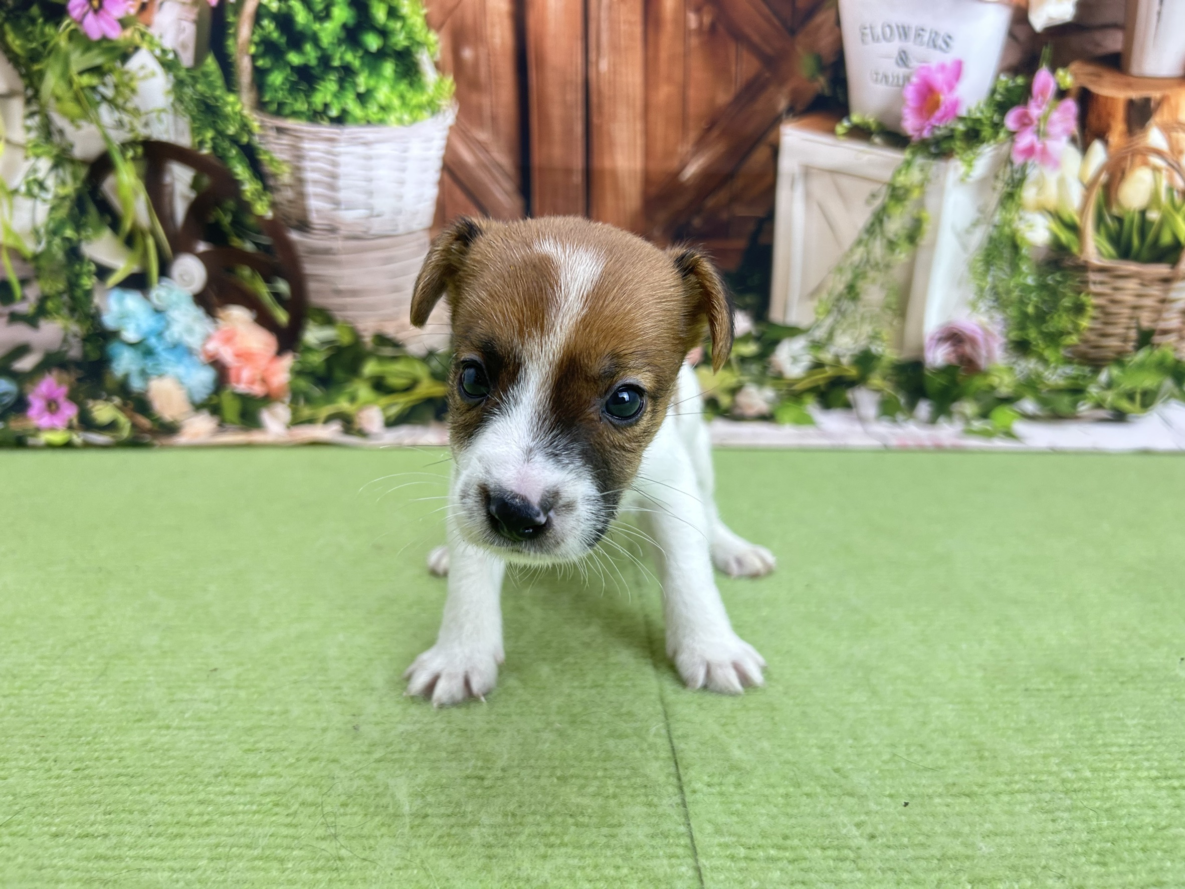 赤ちゃん写真2-1