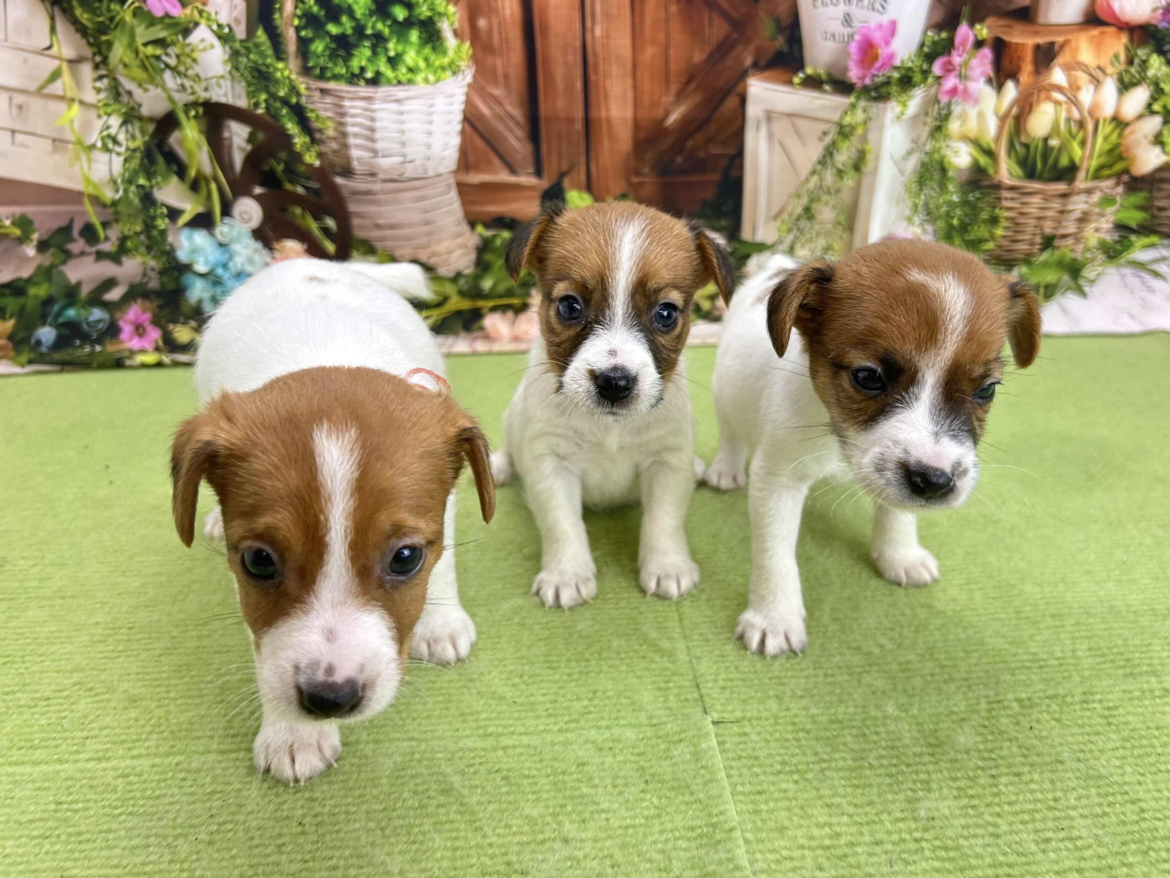 赤ちゃん写真2-3