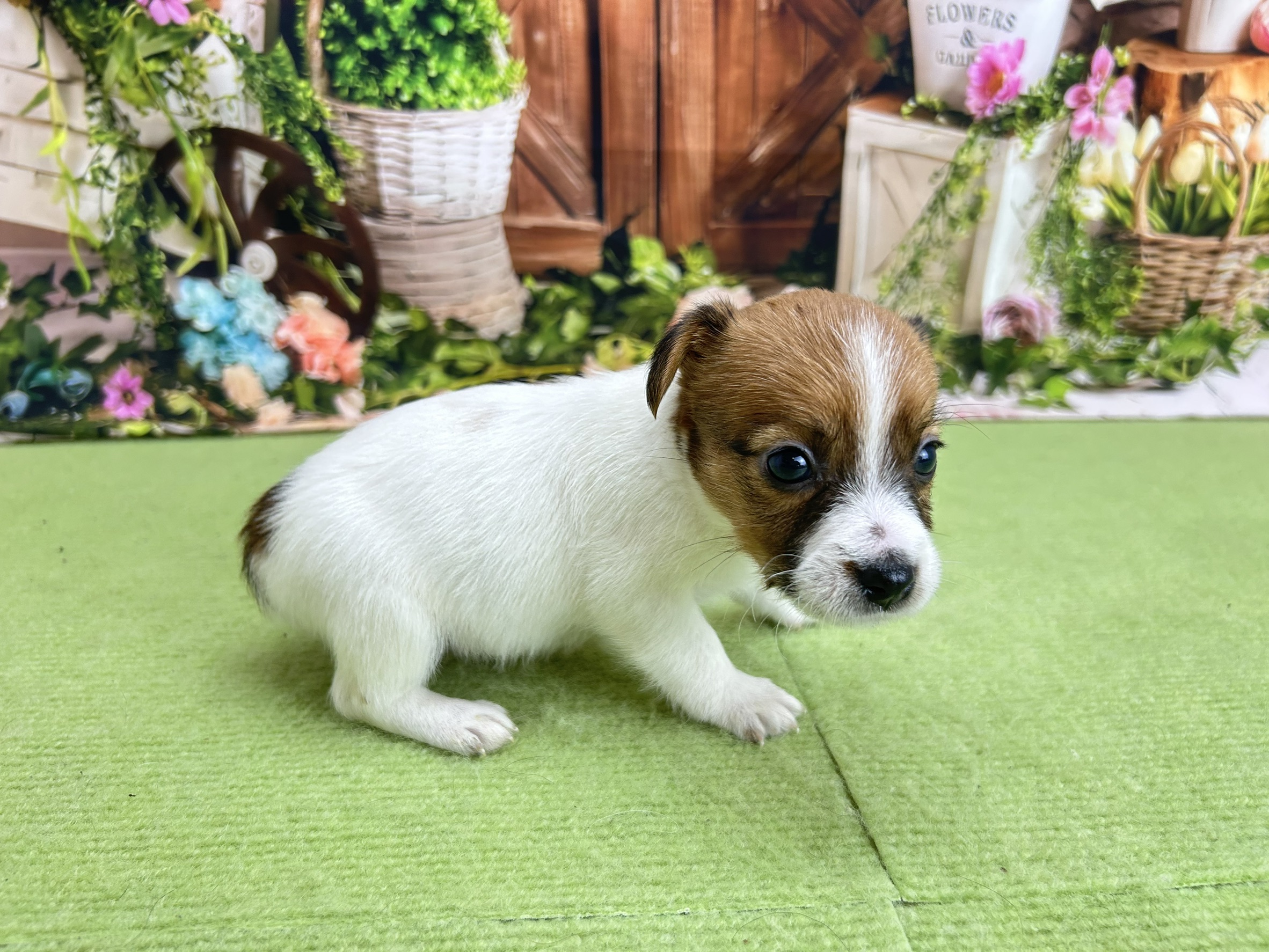 赤ちゃん写真2-2