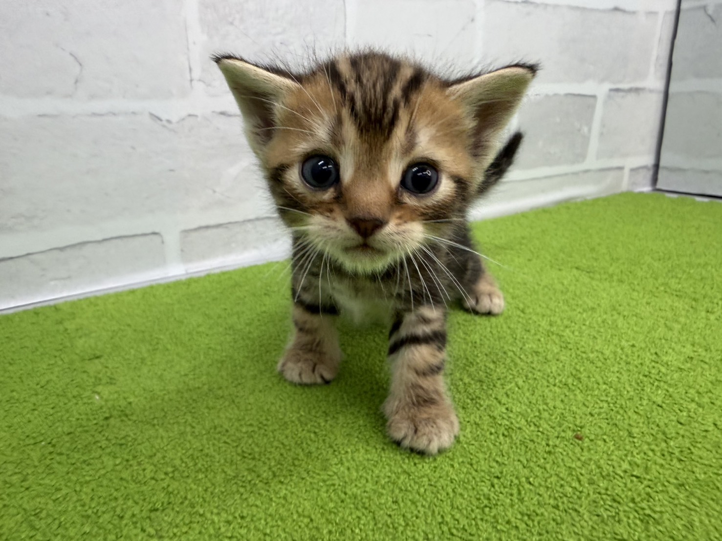 赤ちゃん写真2-1