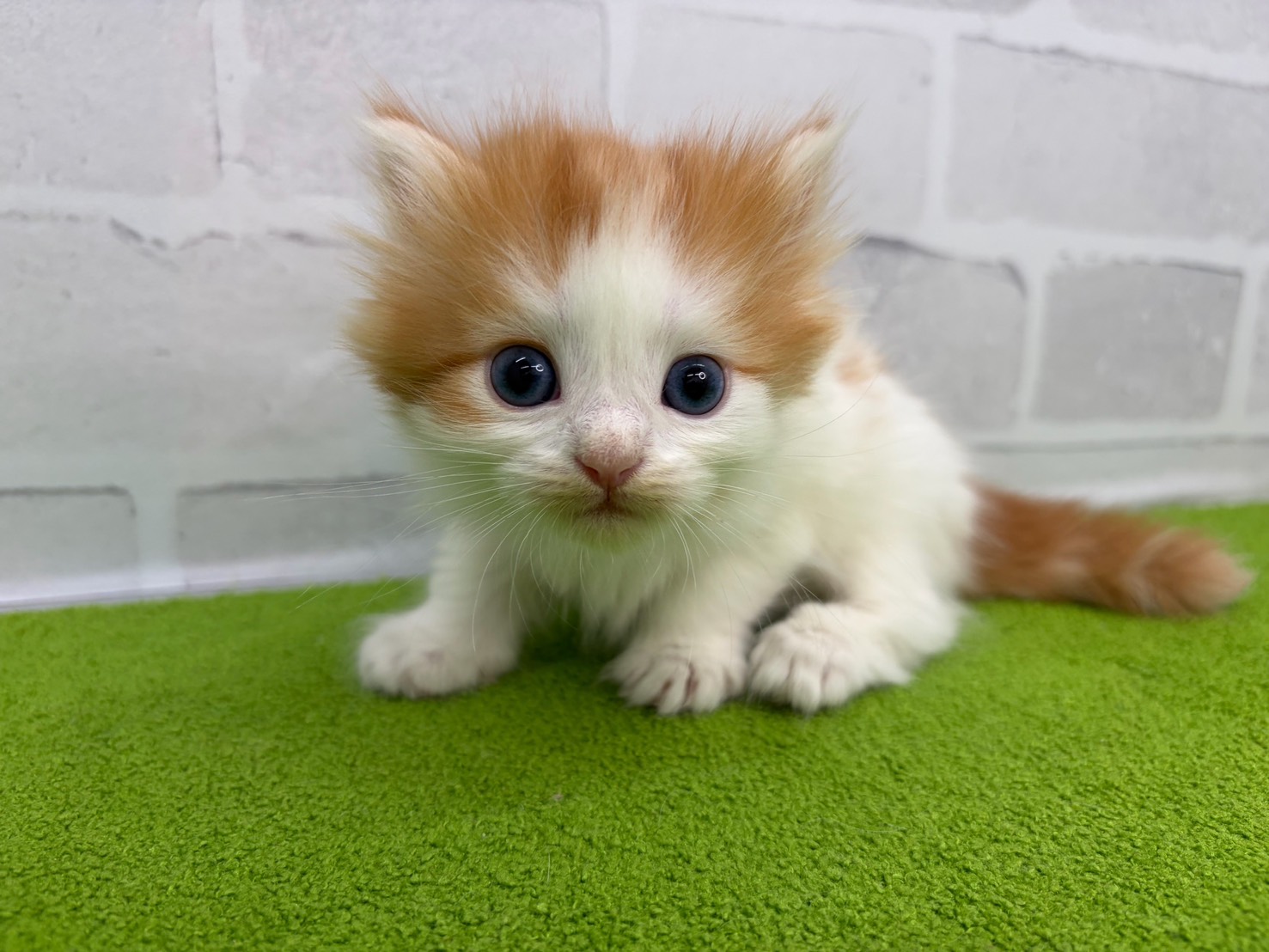 赤ちゃん写真2-1