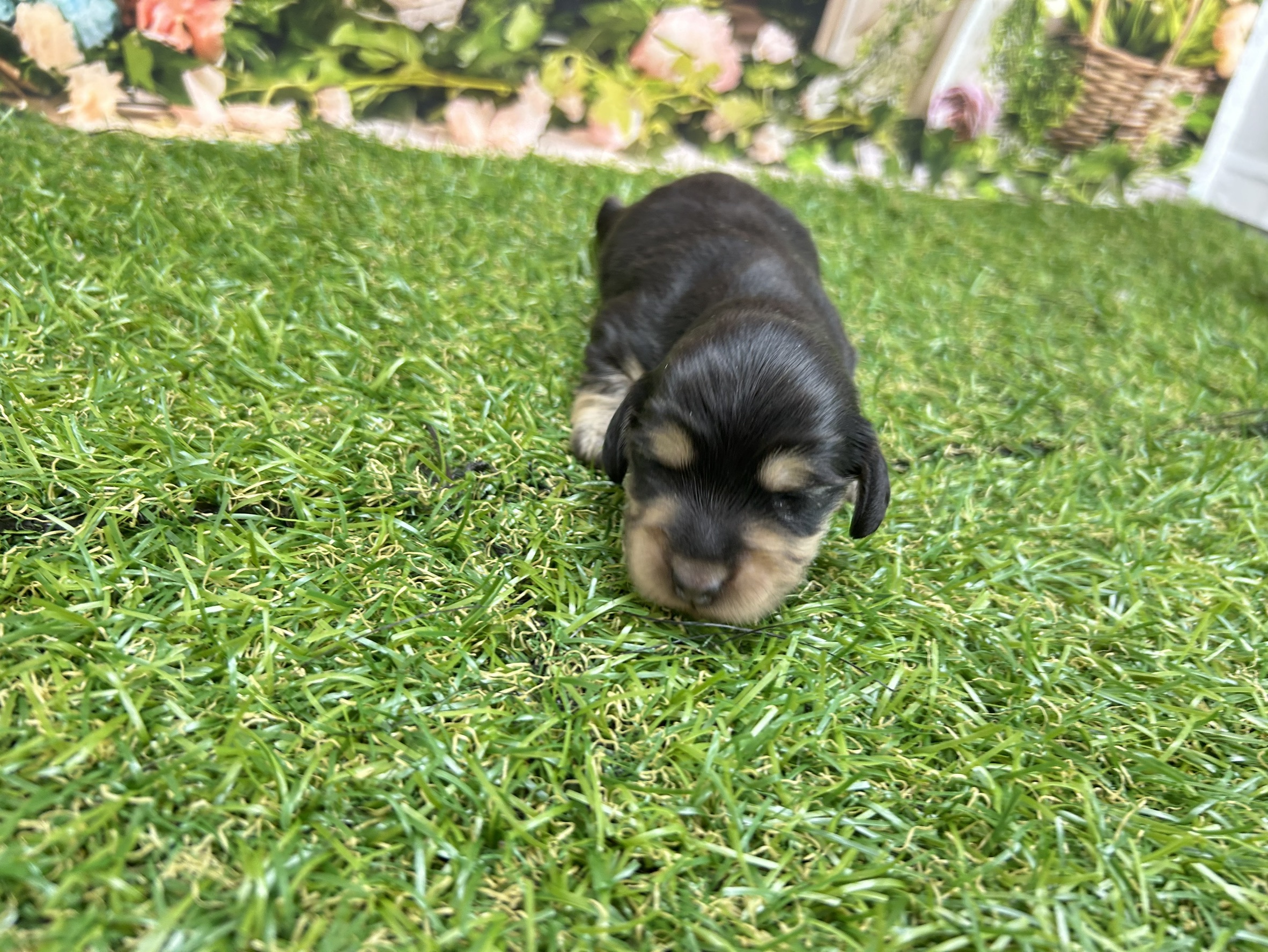 赤ちゃん写真1-1