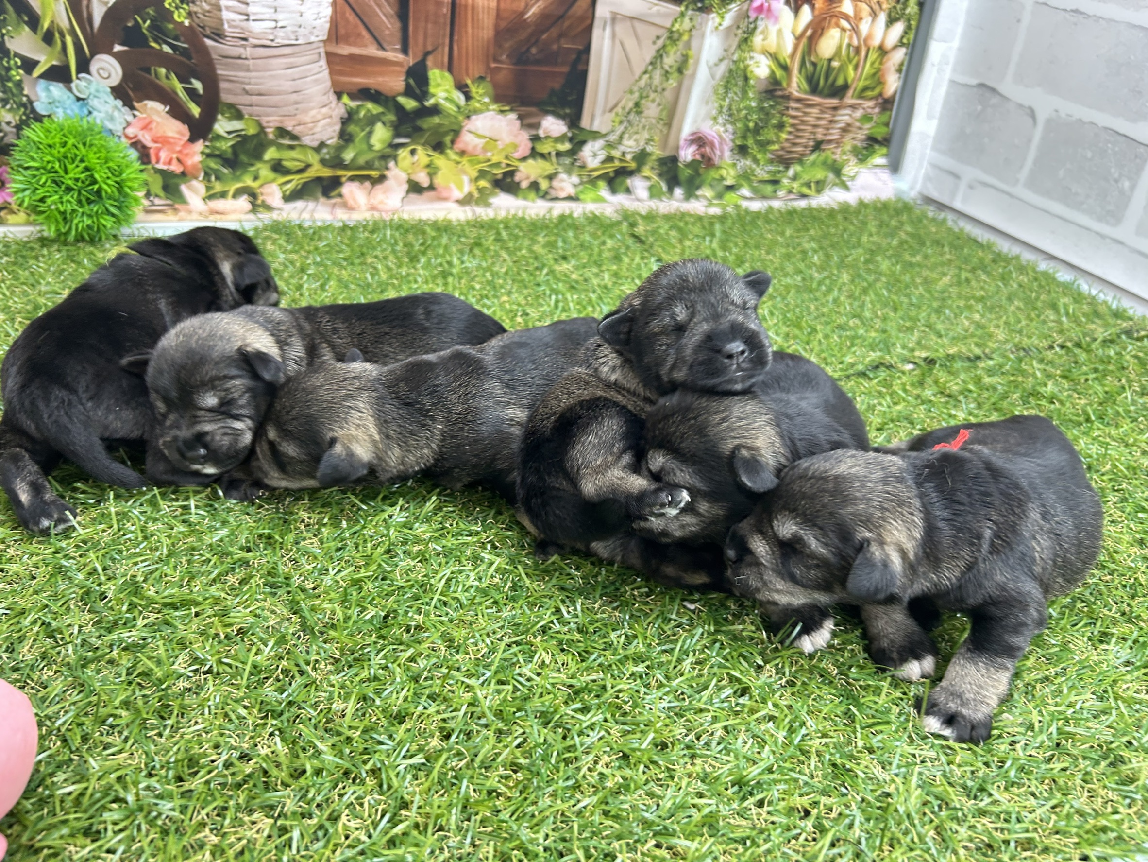 赤ちゃん写真1-3