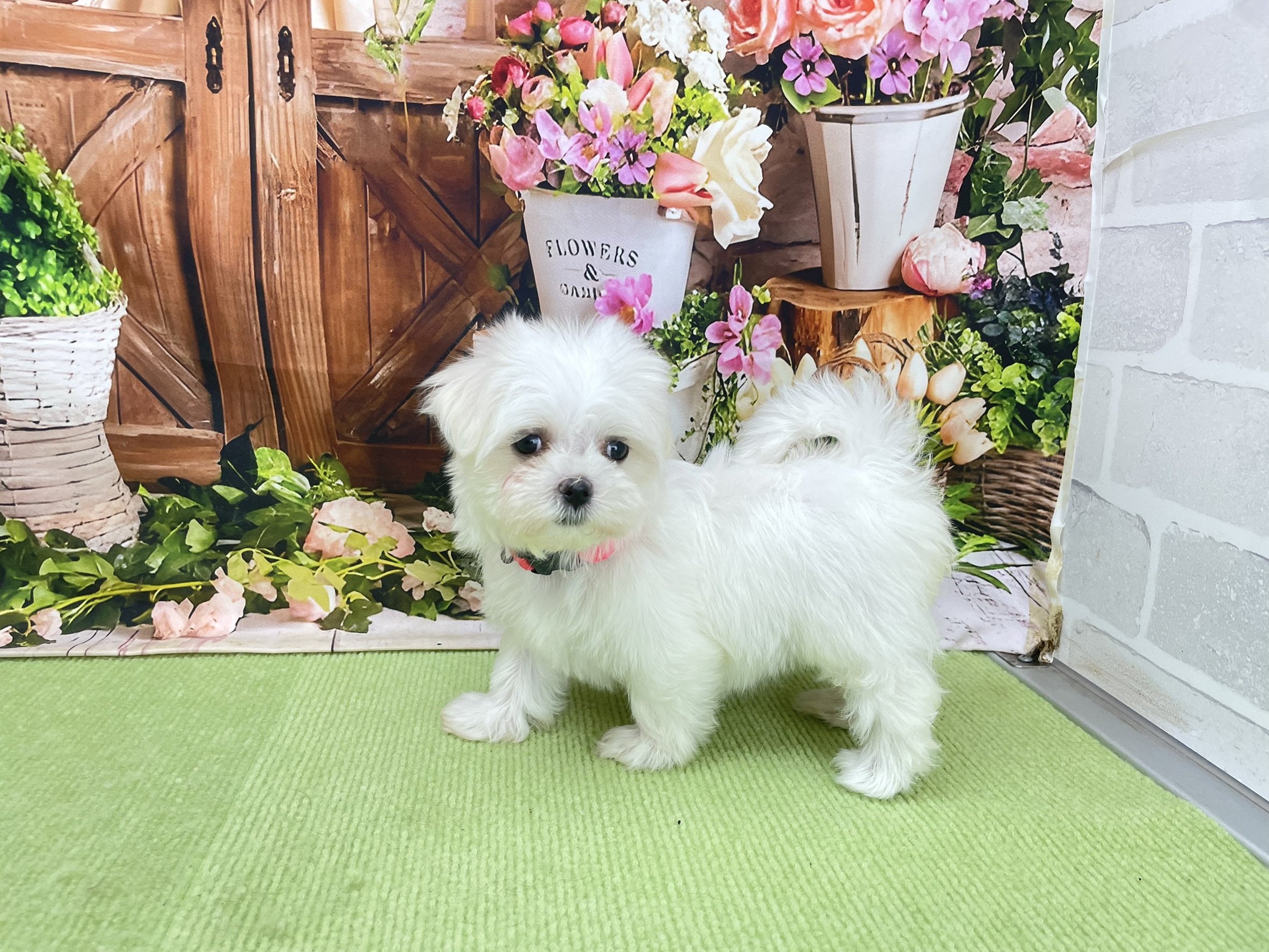 赤ちゃん写真3-2