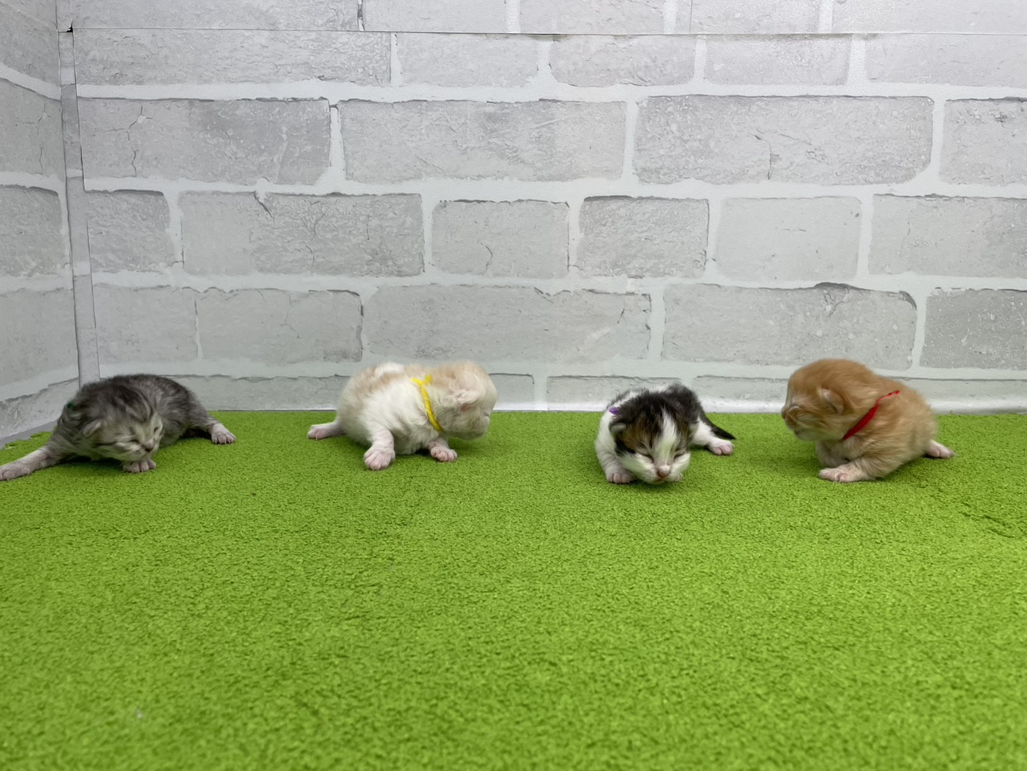 赤ちゃん写真1-3
