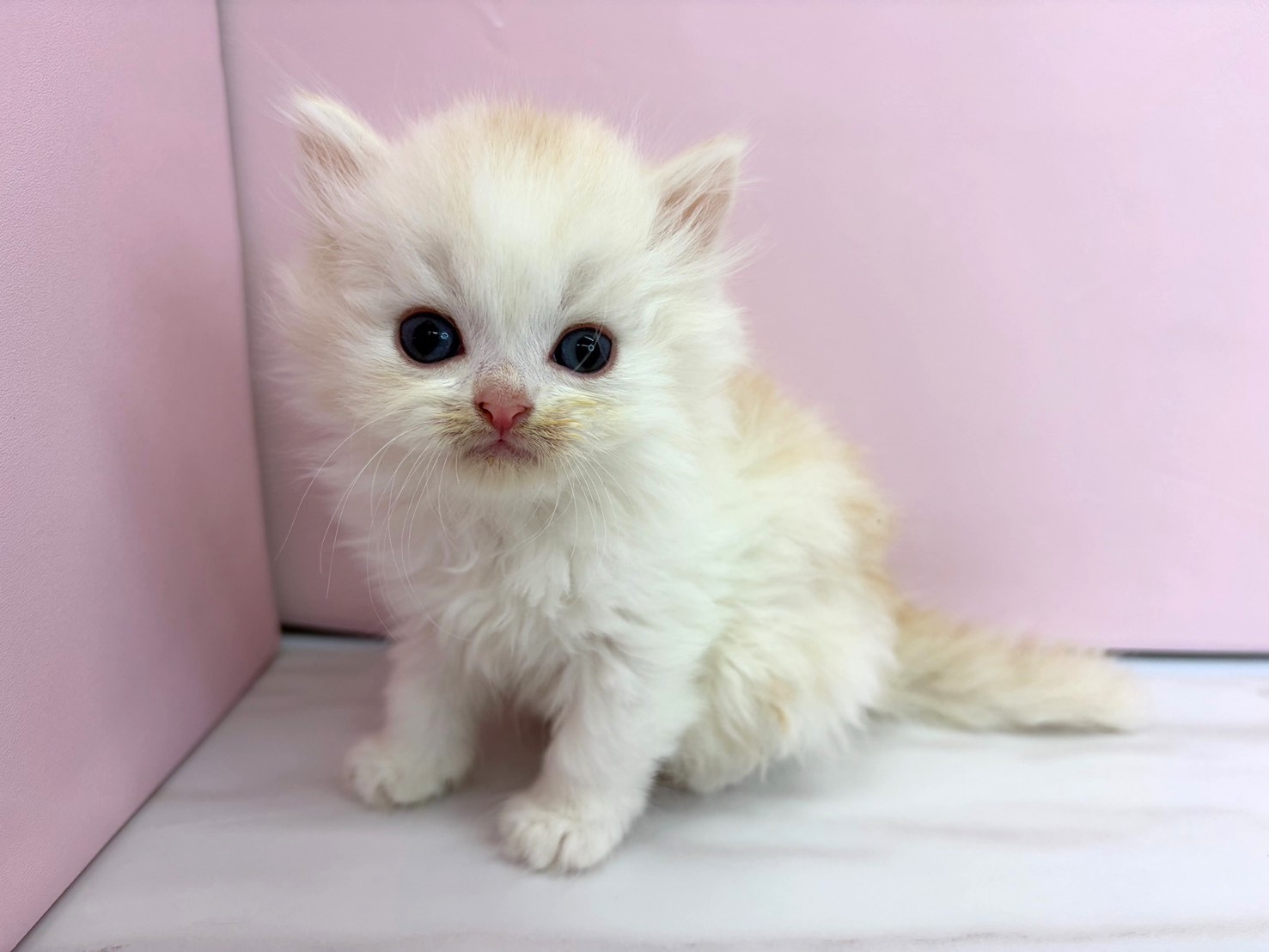 赤ちゃん写真2-1