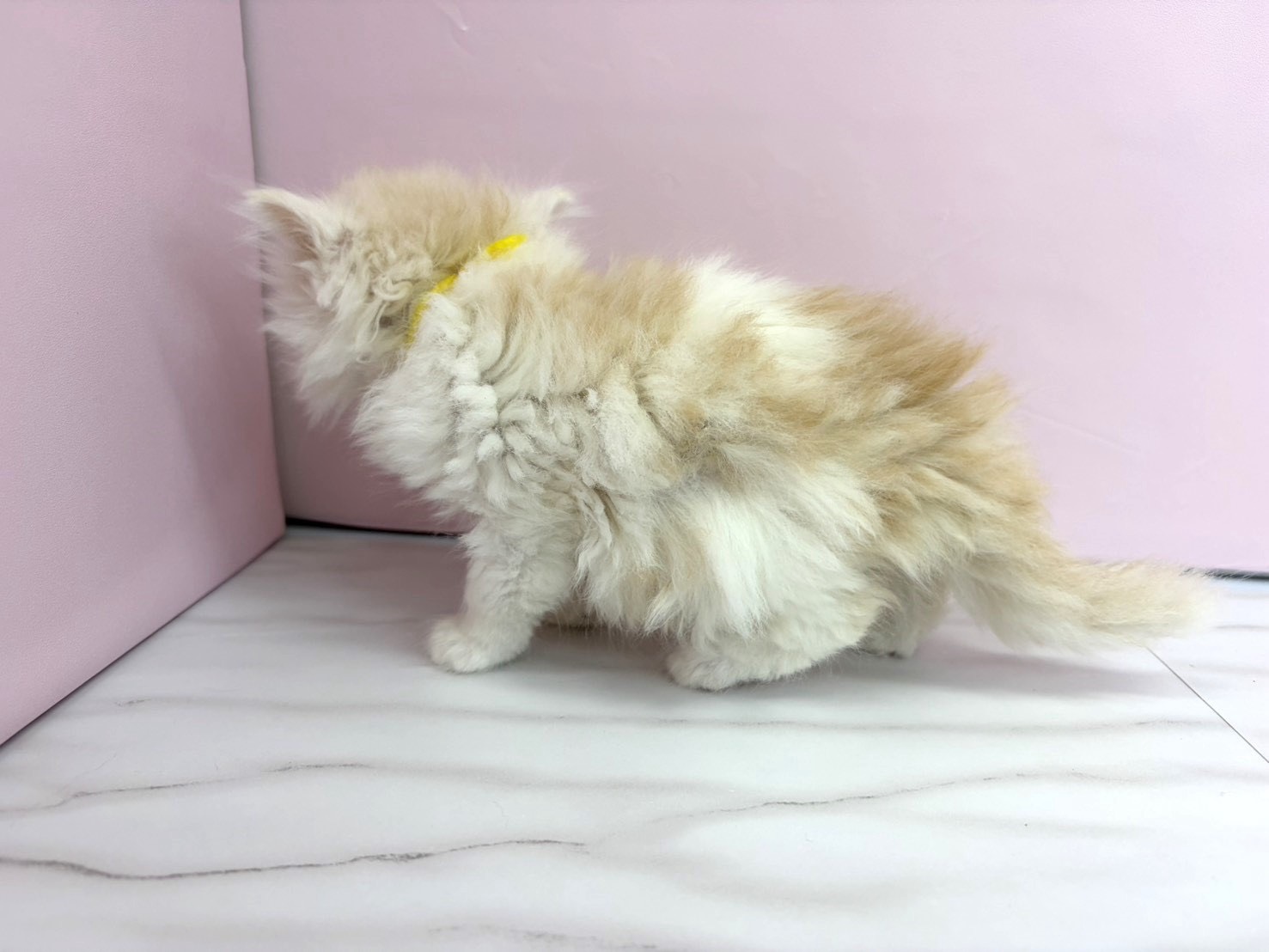 赤ちゃん写真2-2