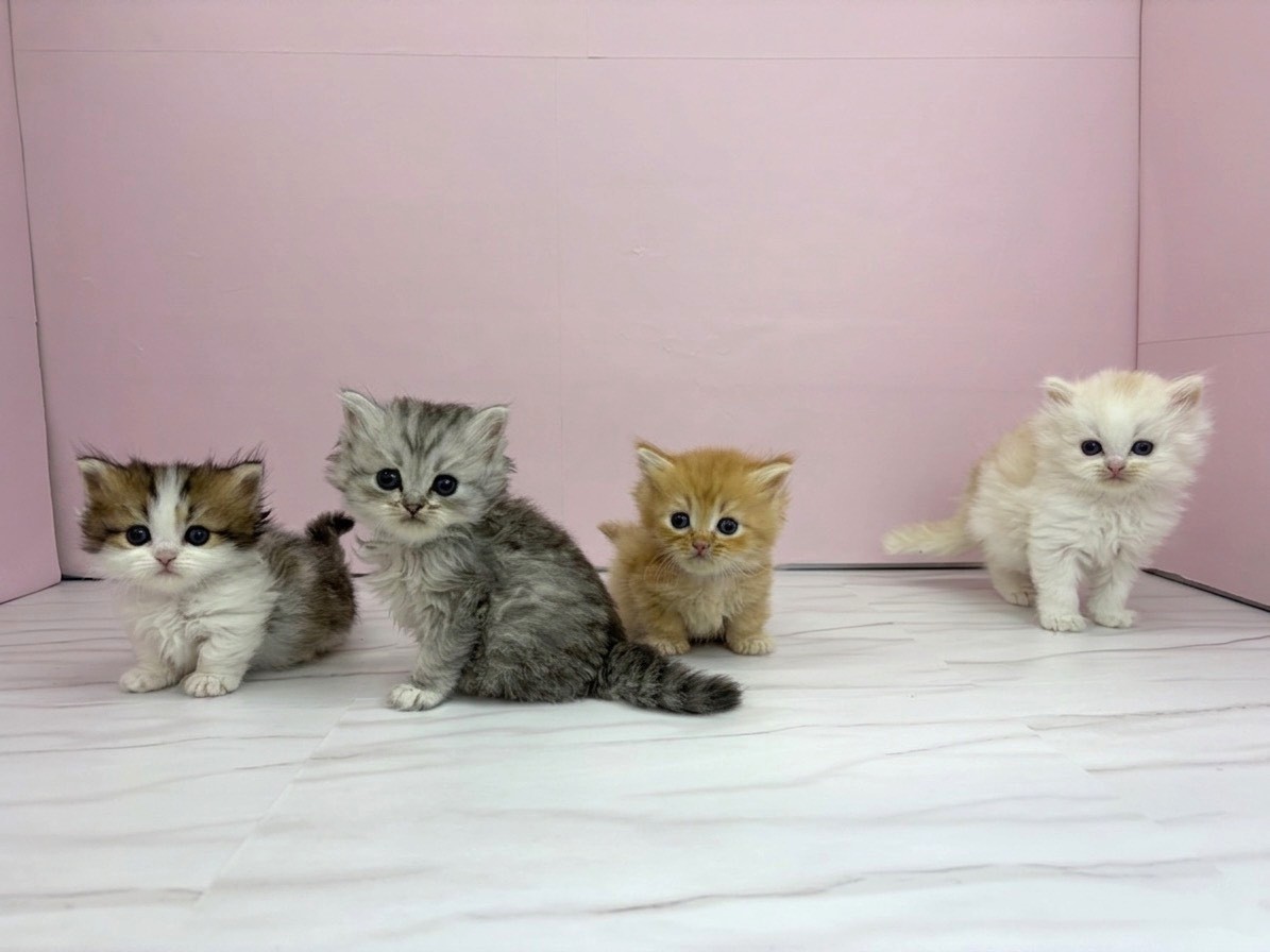 赤ちゃん写真2-3