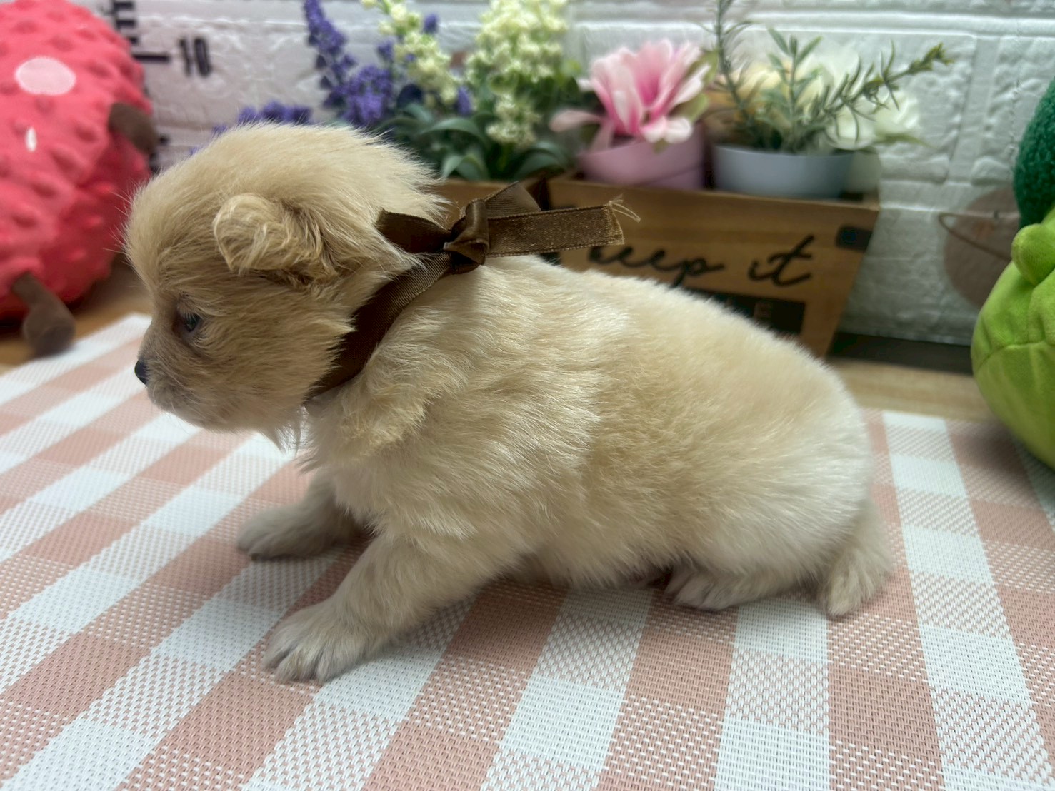 赤ちゃん写真2-2