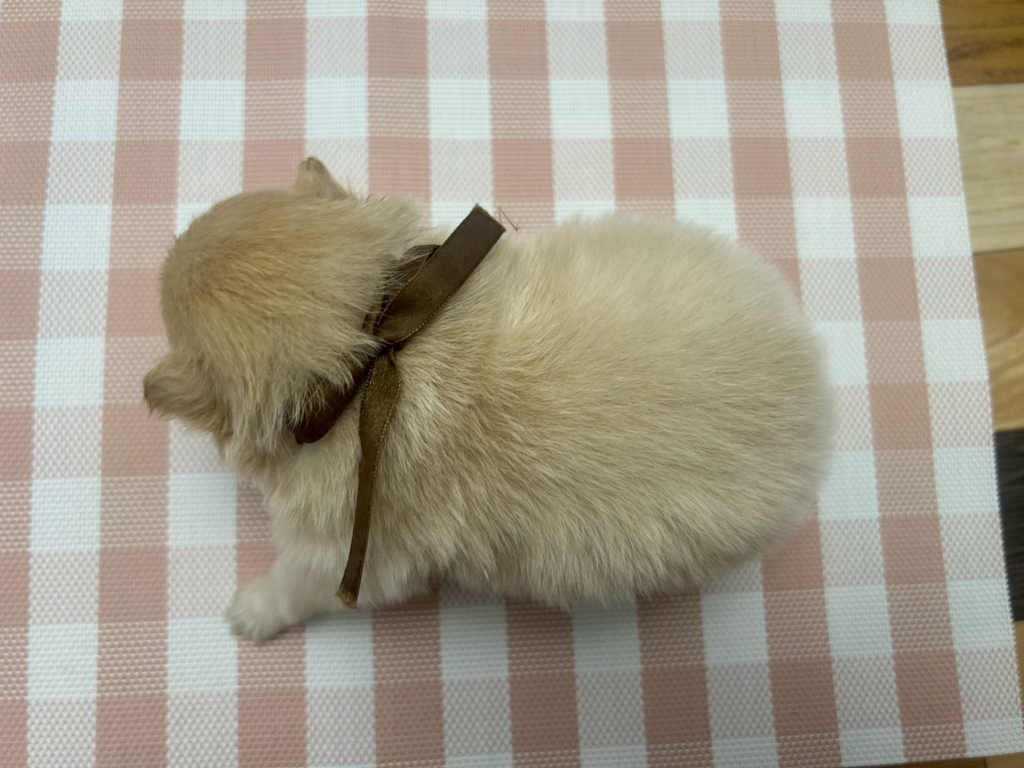 赤ちゃん写真2-3