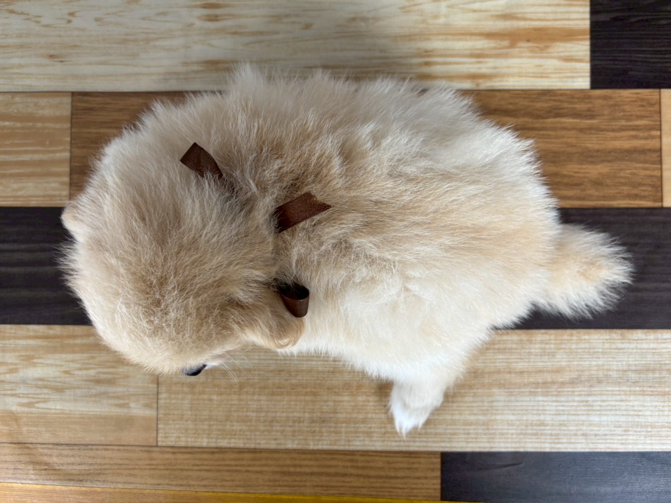 赤ちゃん写真3-3
