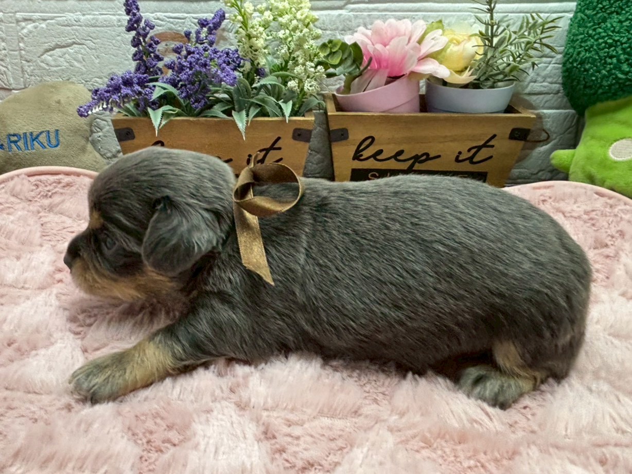 赤ちゃん写真2-2