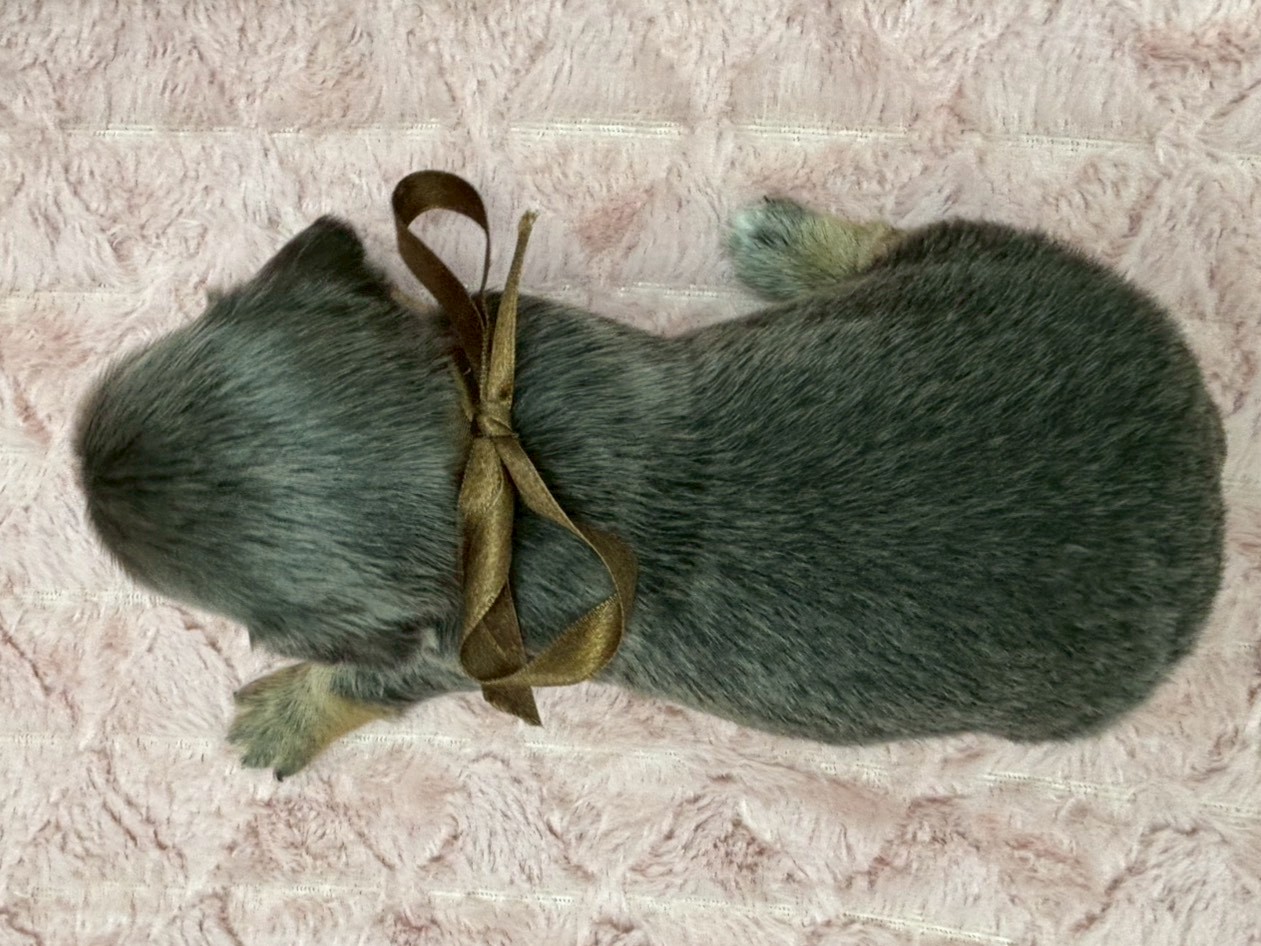 赤ちゃん写真2-3