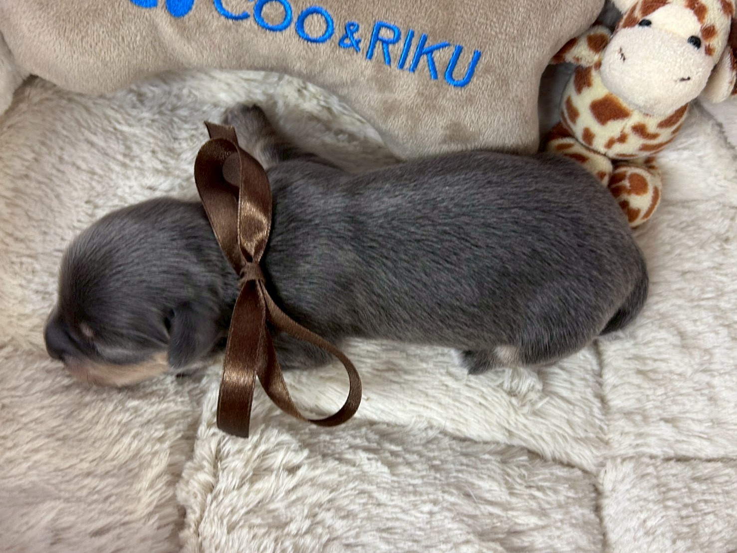 赤ちゃん写真1-3