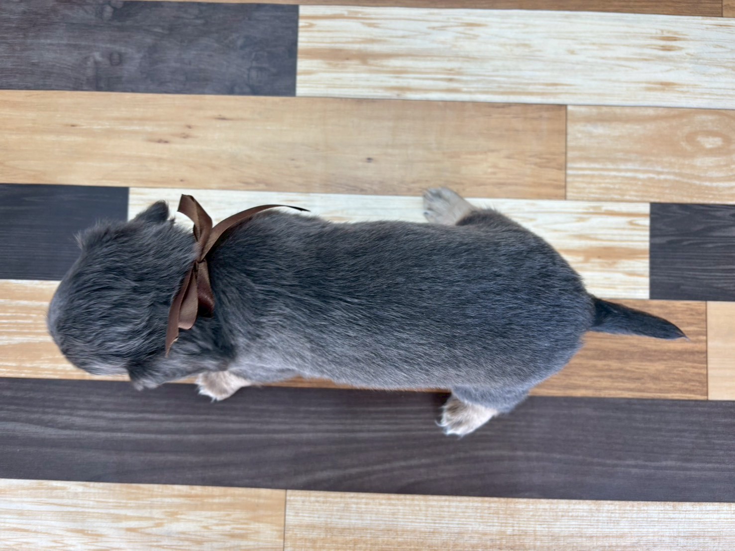 赤ちゃん写真3-3
