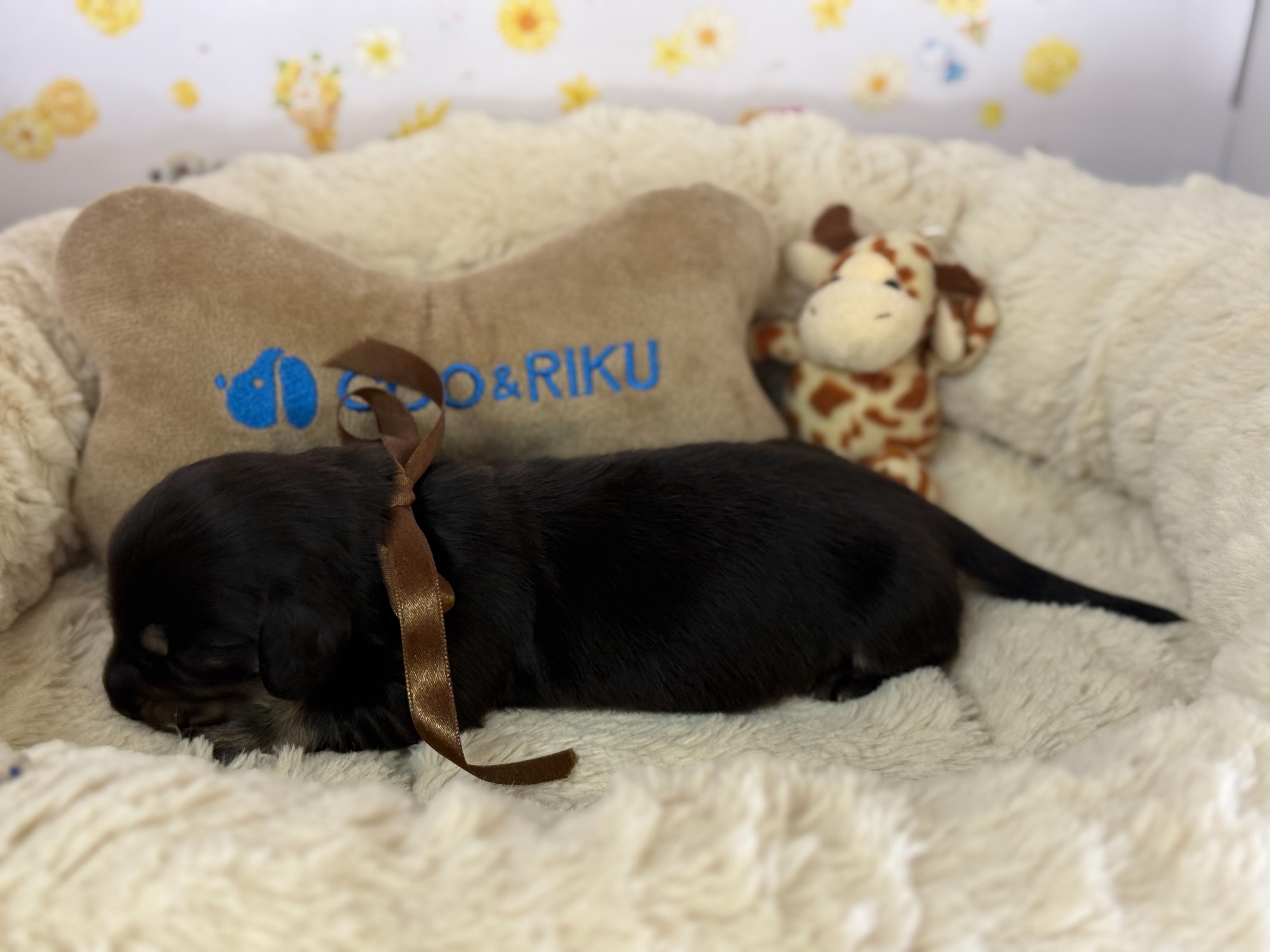 赤ちゃん写真1-2