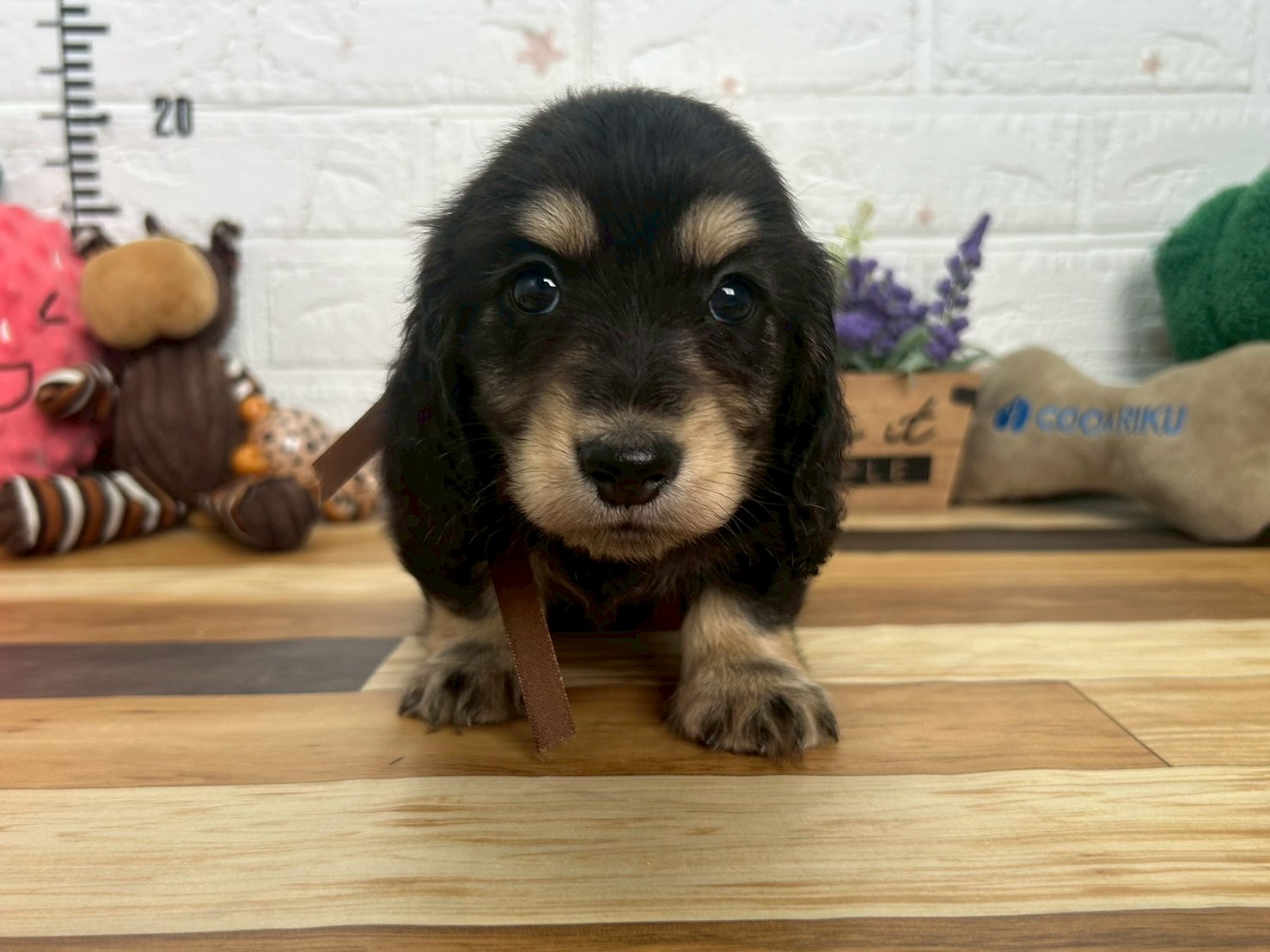 赤ちゃん写真3-1