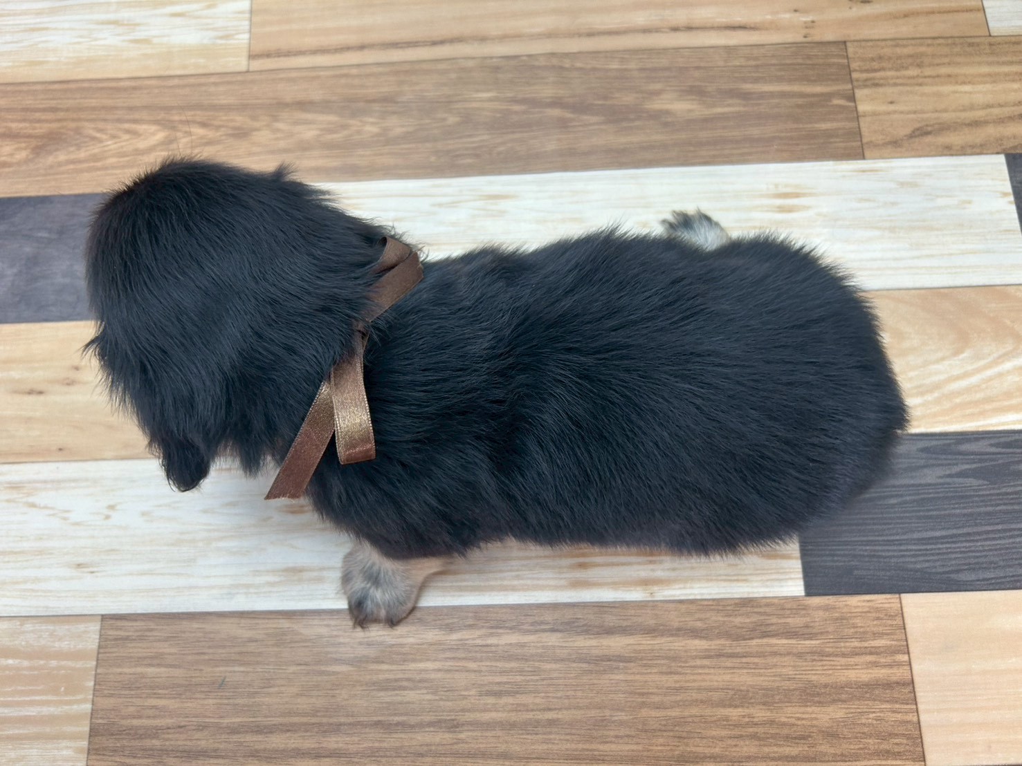 赤ちゃん写真3-3