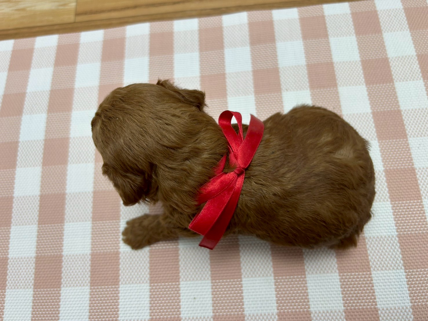 赤ちゃん写真2-3