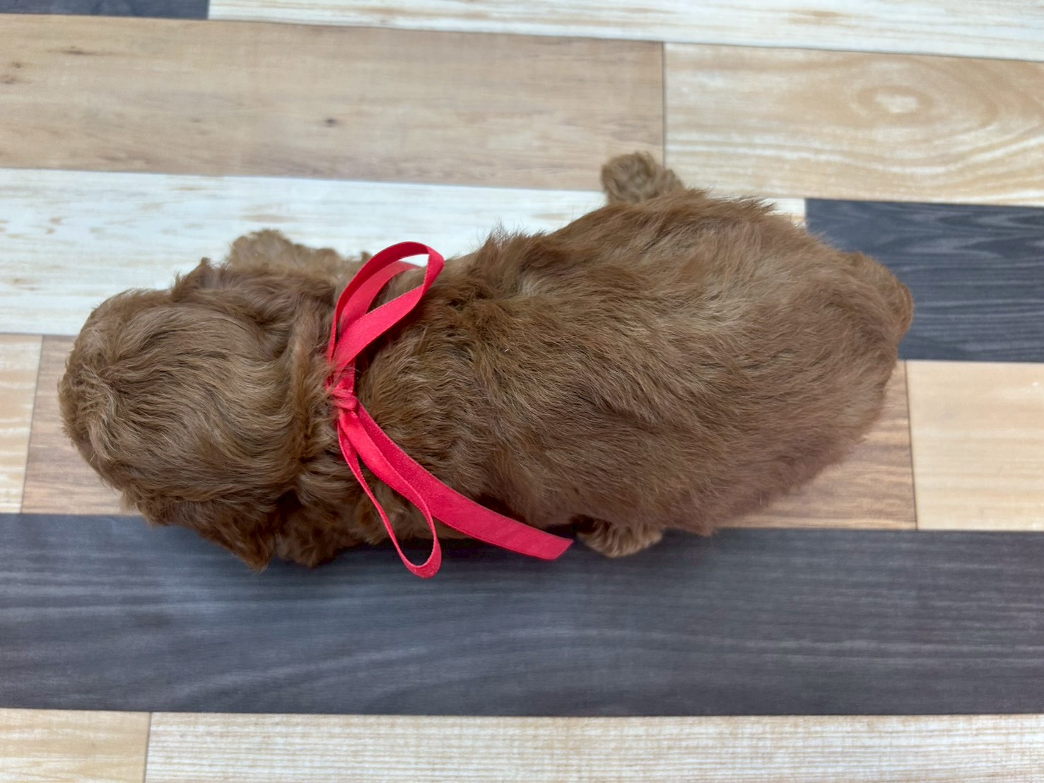 赤ちゃん写真3-3