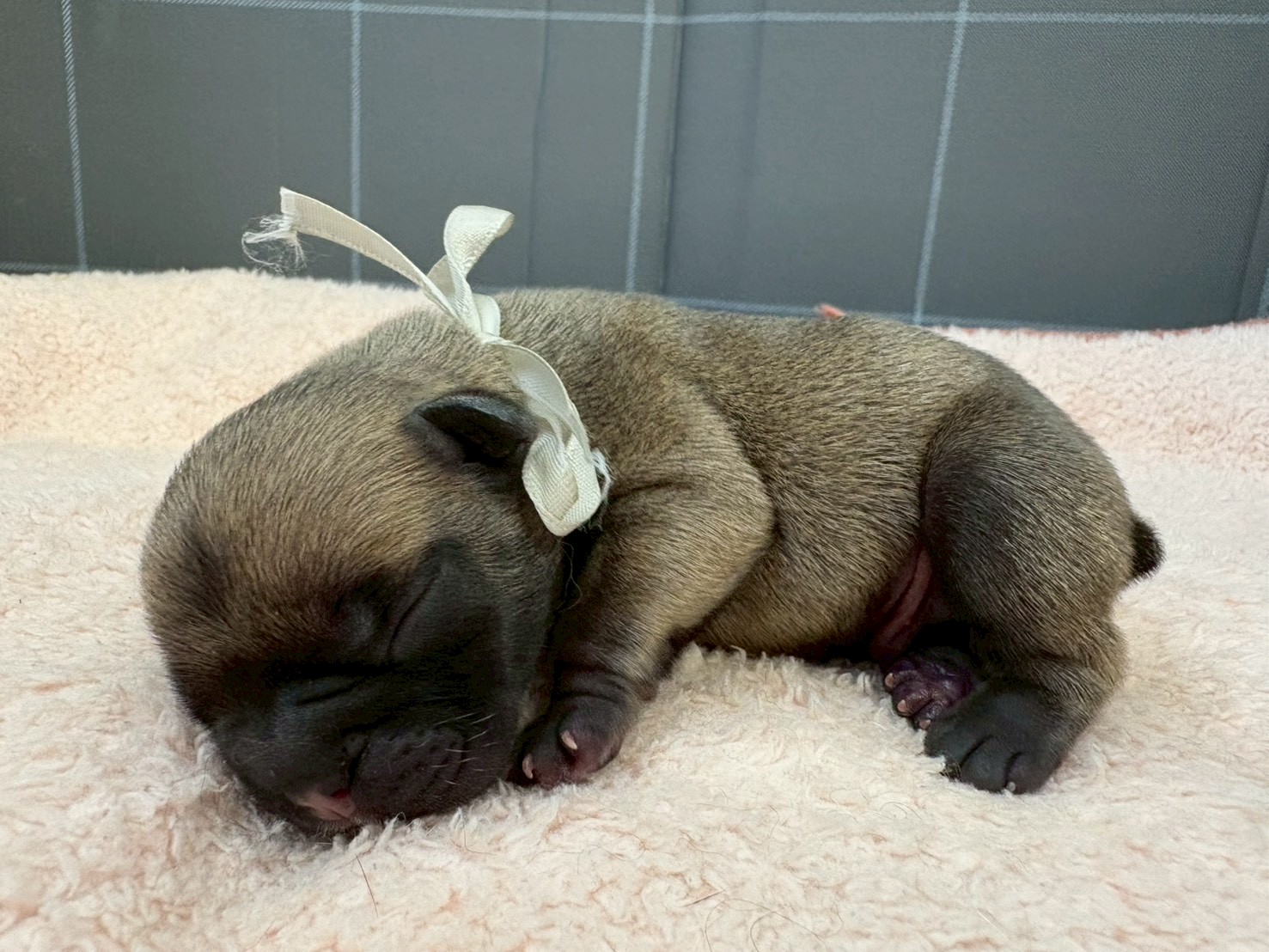 赤ちゃん写真1-2