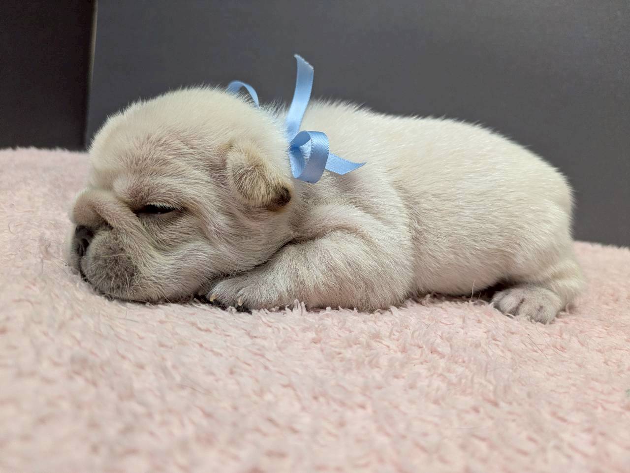 赤ちゃん写真2-2