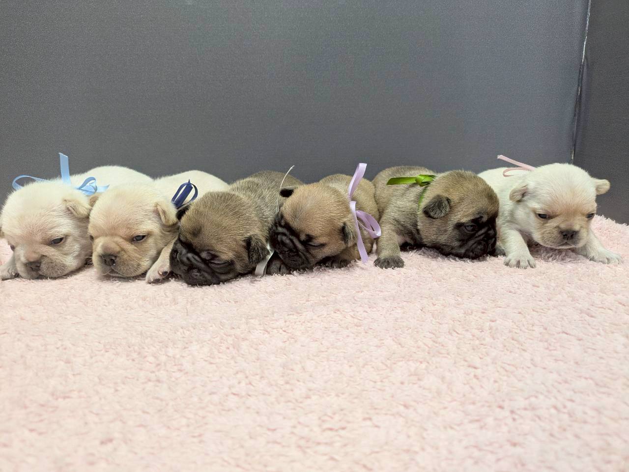 赤ちゃん写真2-3