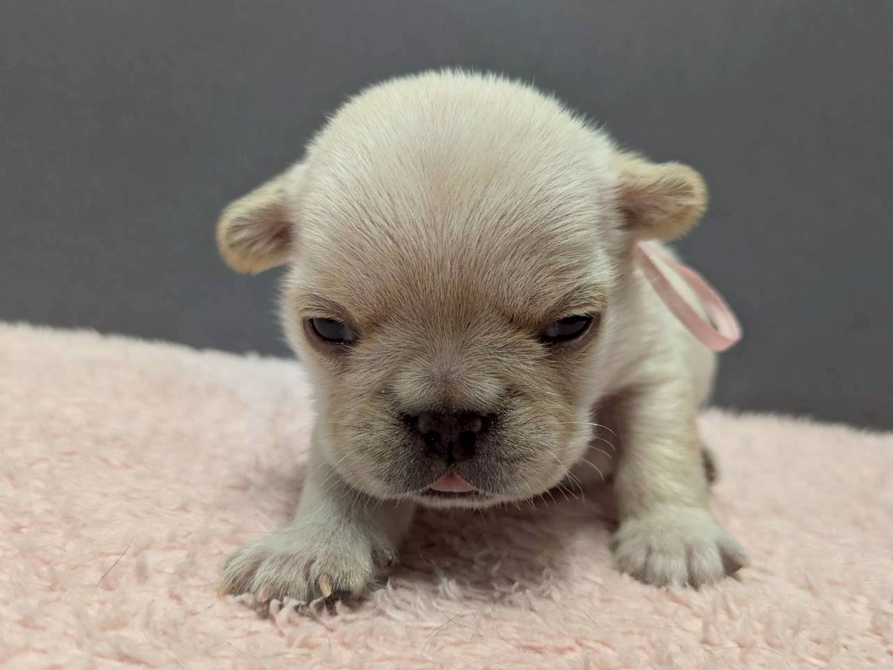 赤ちゃん写真2-1