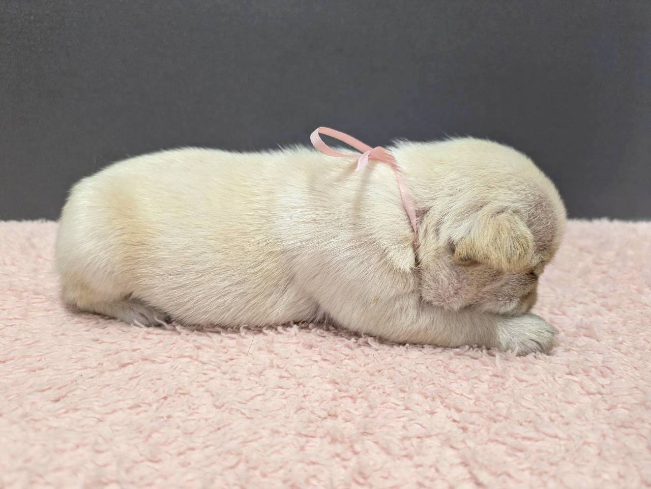 赤ちゃん写真2-2
