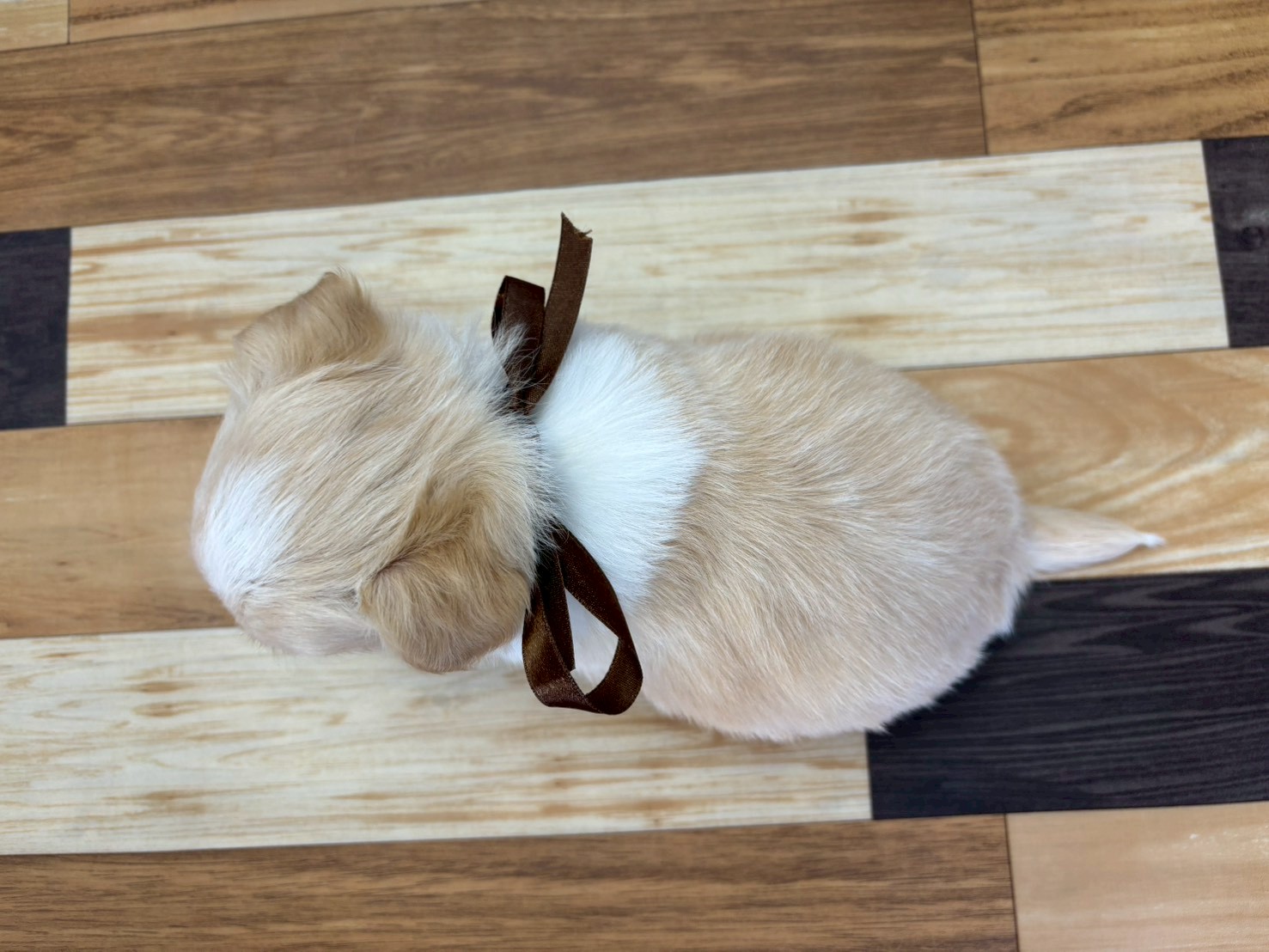 赤ちゃん写真3-3