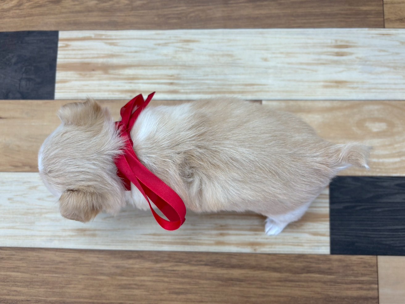 赤ちゃん写真3-3