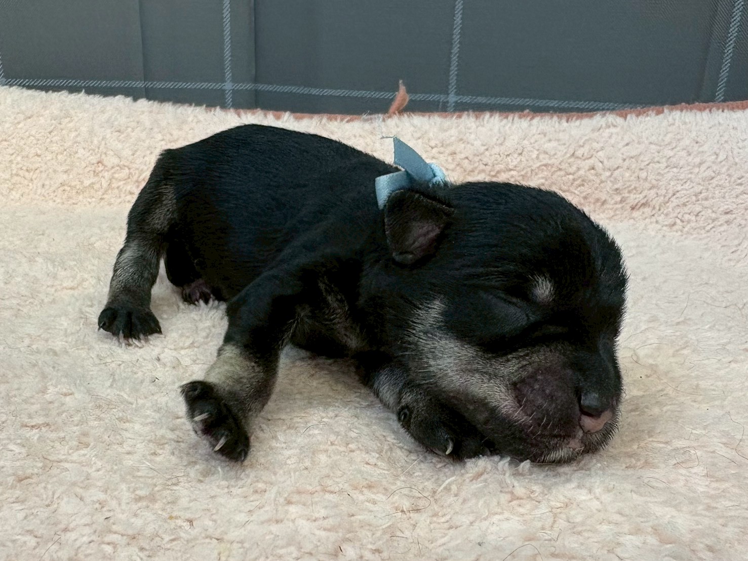 赤ちゃん写真1-1