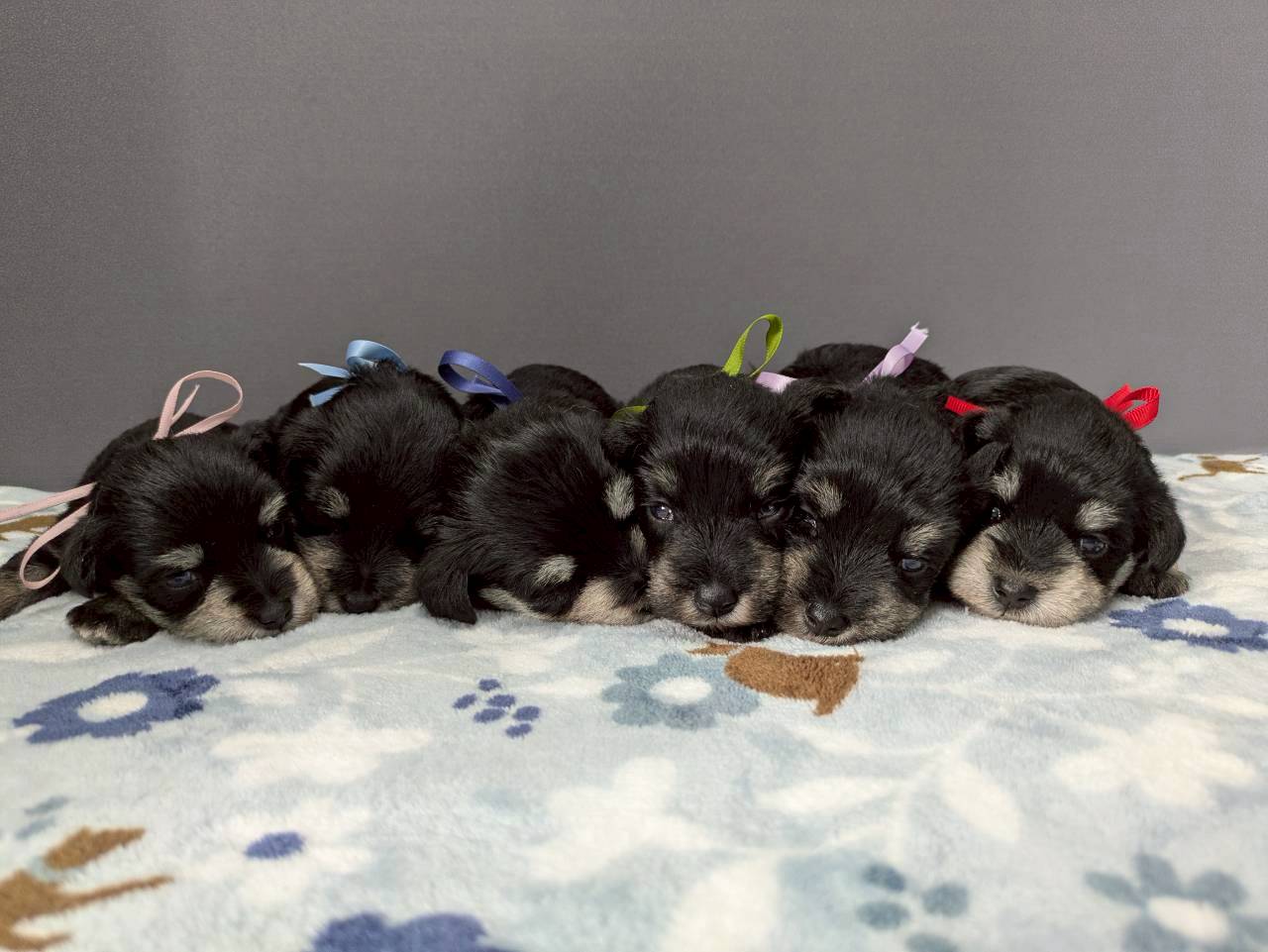 赤ちゃん写真2-3
